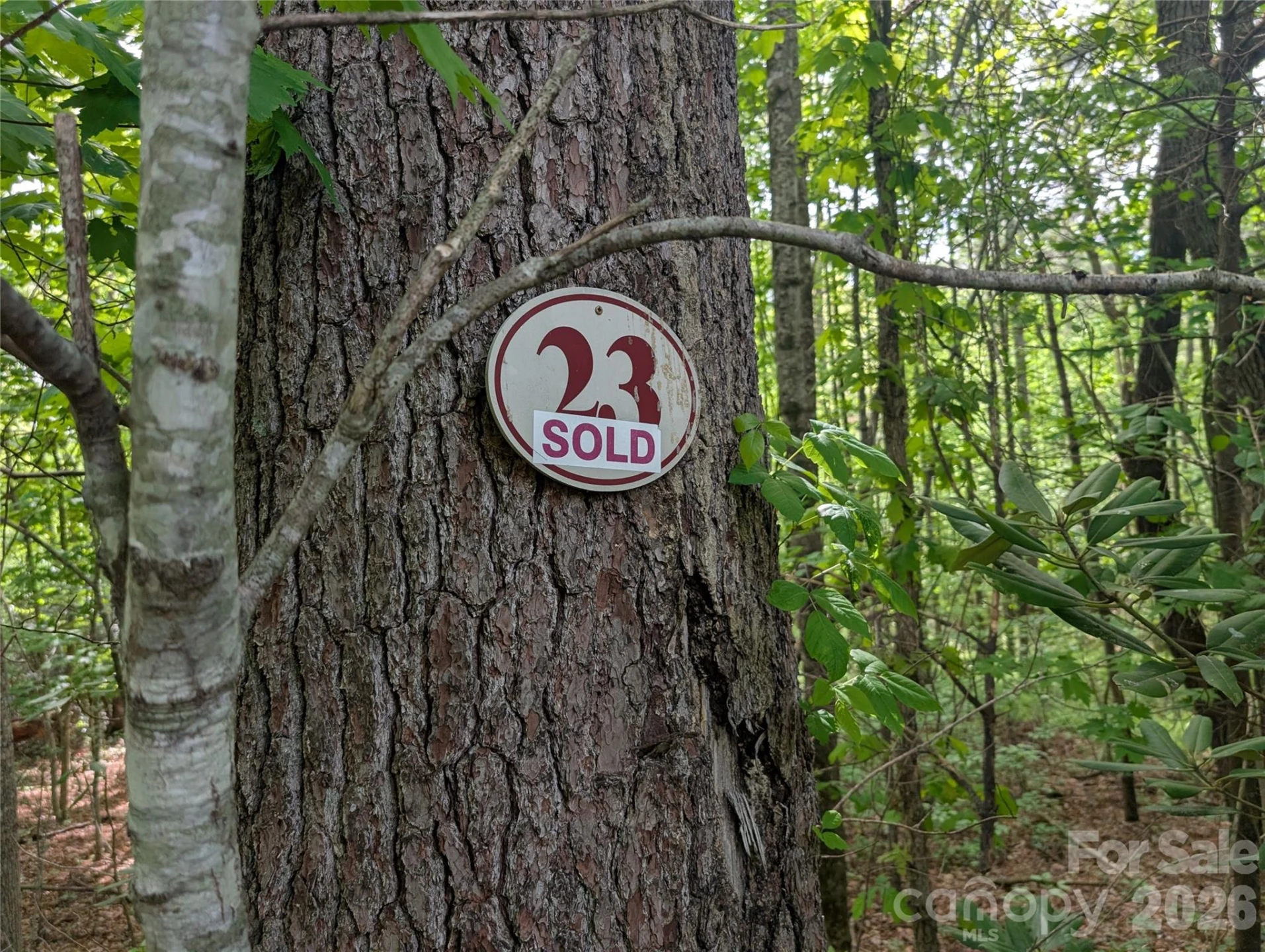 00 Hosta Lane - Photo 10