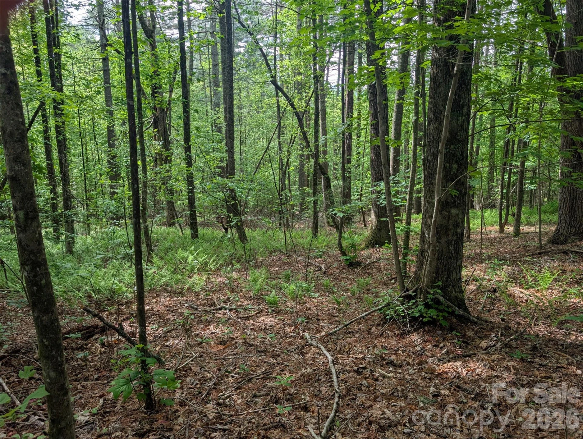 00 Hosta Lane - Photo 11