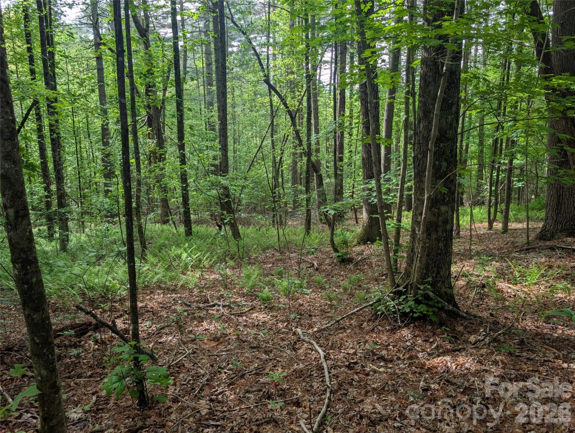 00 Hosta Lane - Photo 12