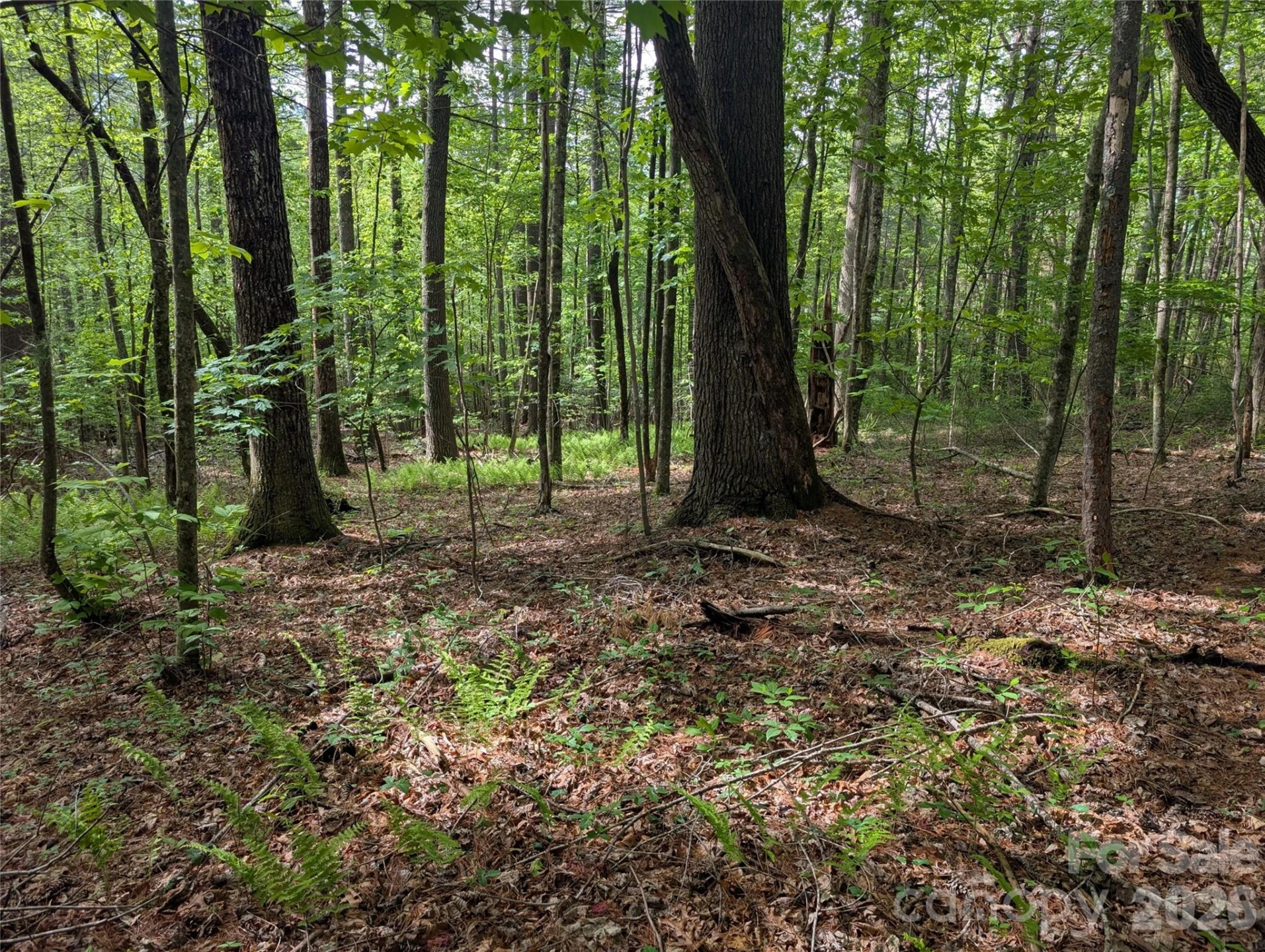 00 Hosta Lane - Photo 13