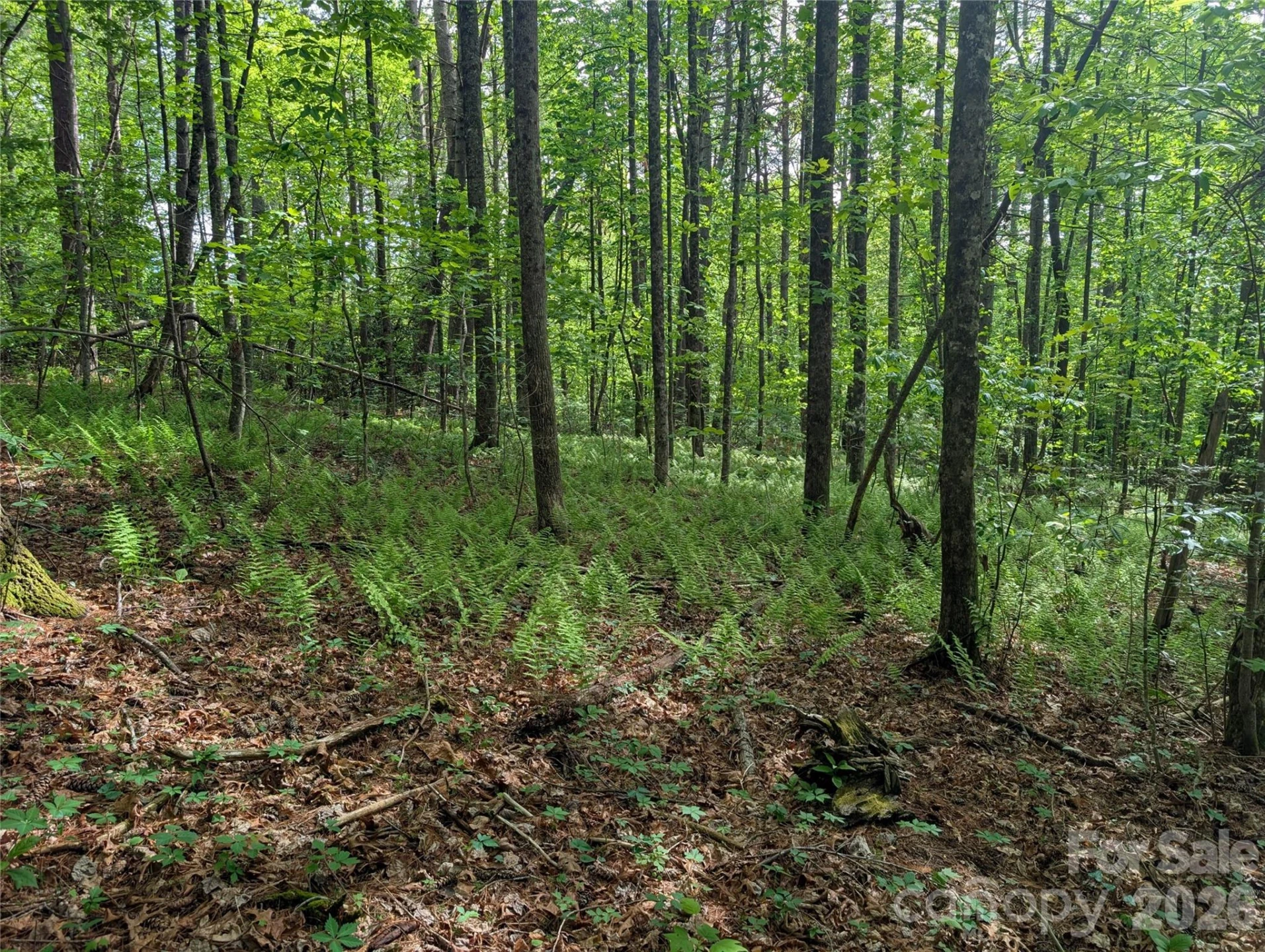 00 Hosta Lane - Photo 15