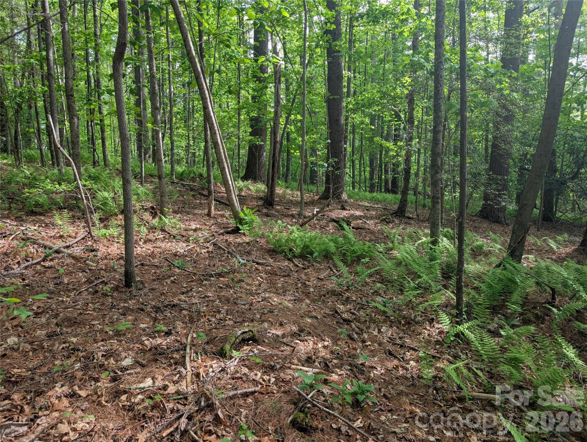 00 Hosta Lane - Photo 16