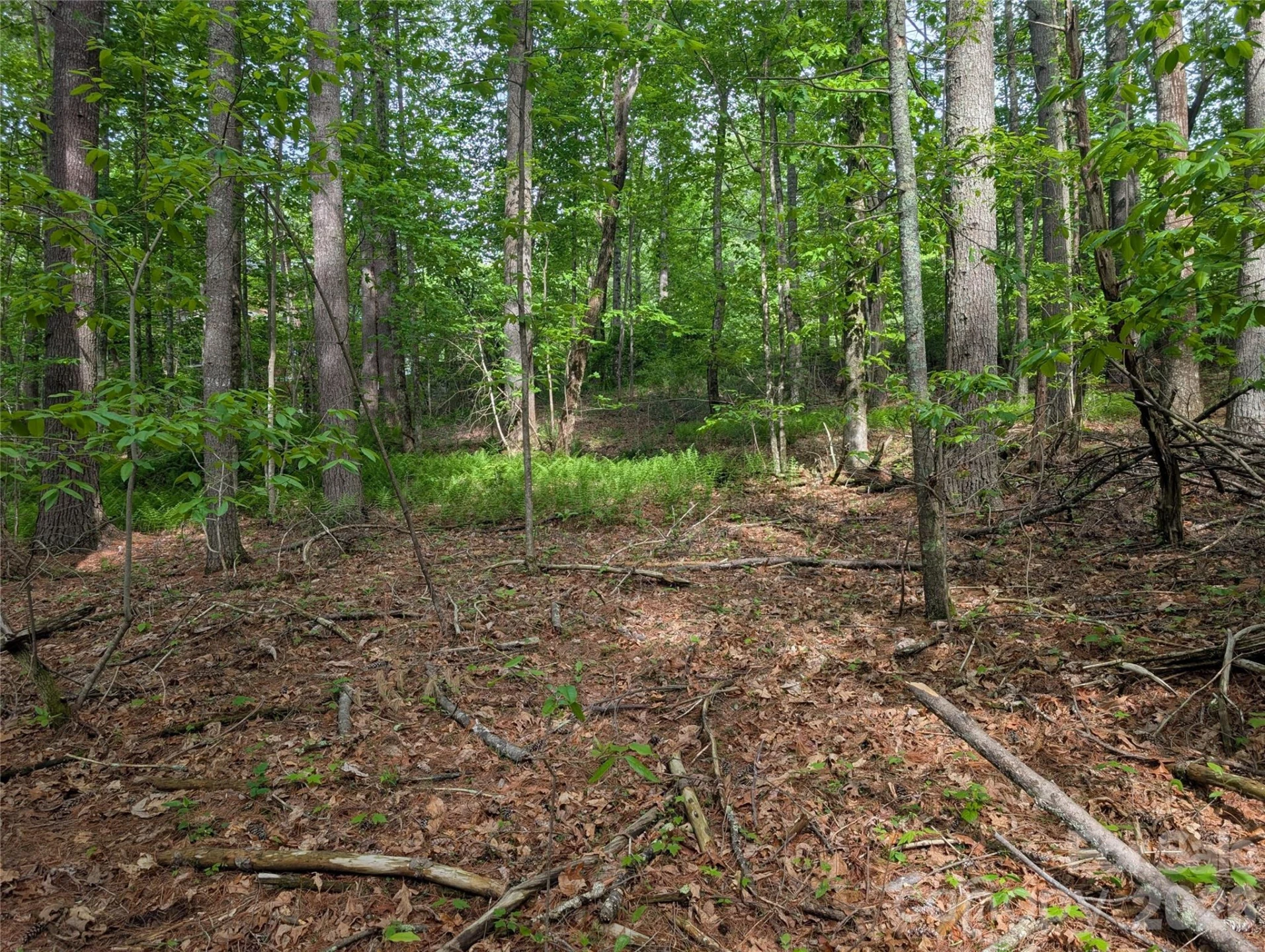 00 Hosta Lane - Photo 17