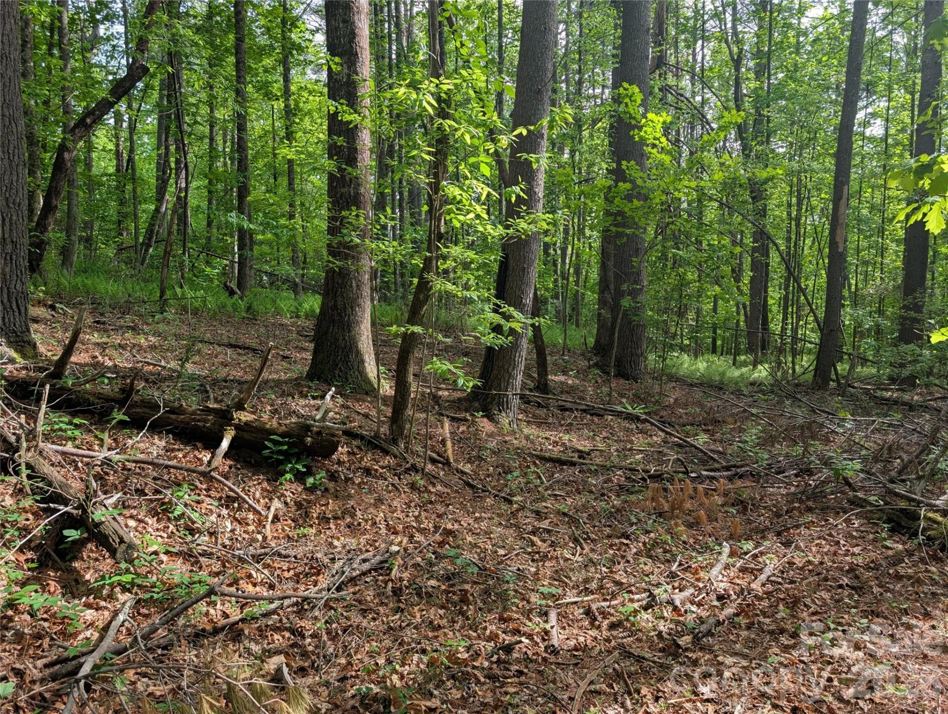 00 Hosta Lane - Photo 18
