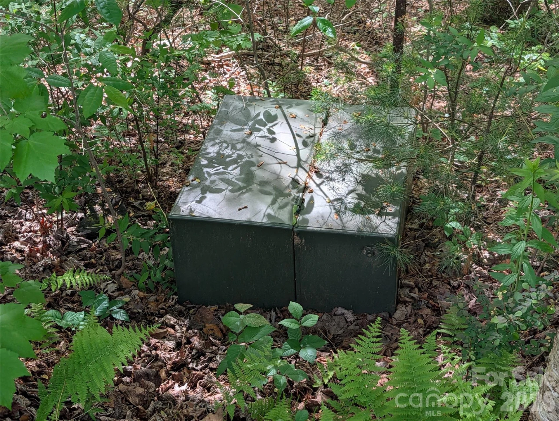 00 Hosta Lane - Photo 19