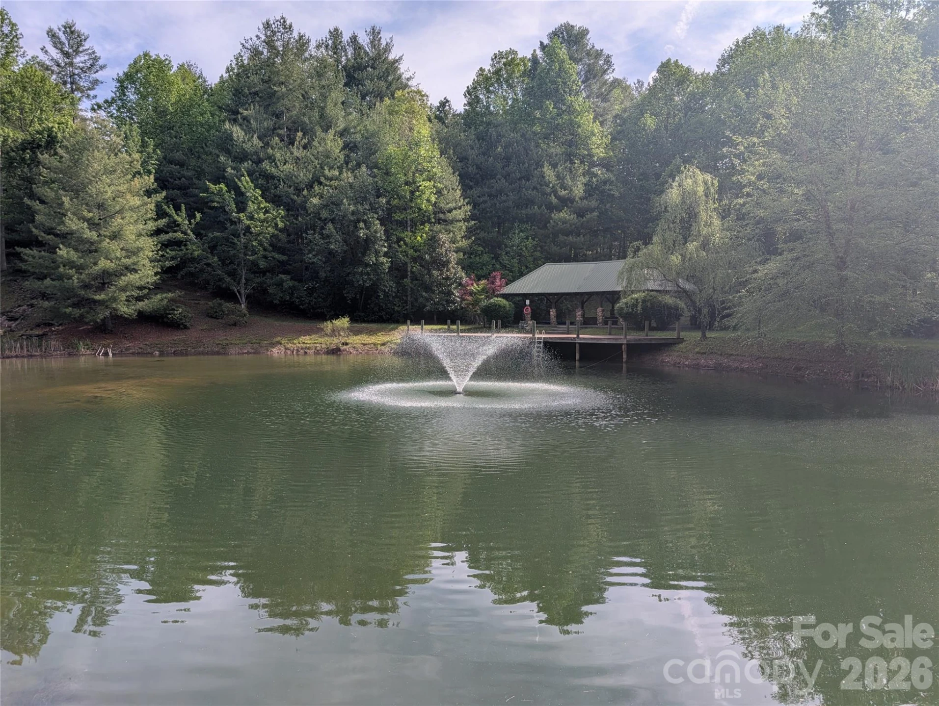 00 Hosta Lane - Photo 4