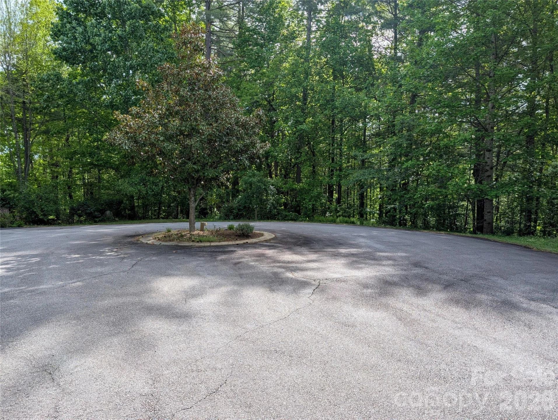00 Hosta Lane - Photo 8