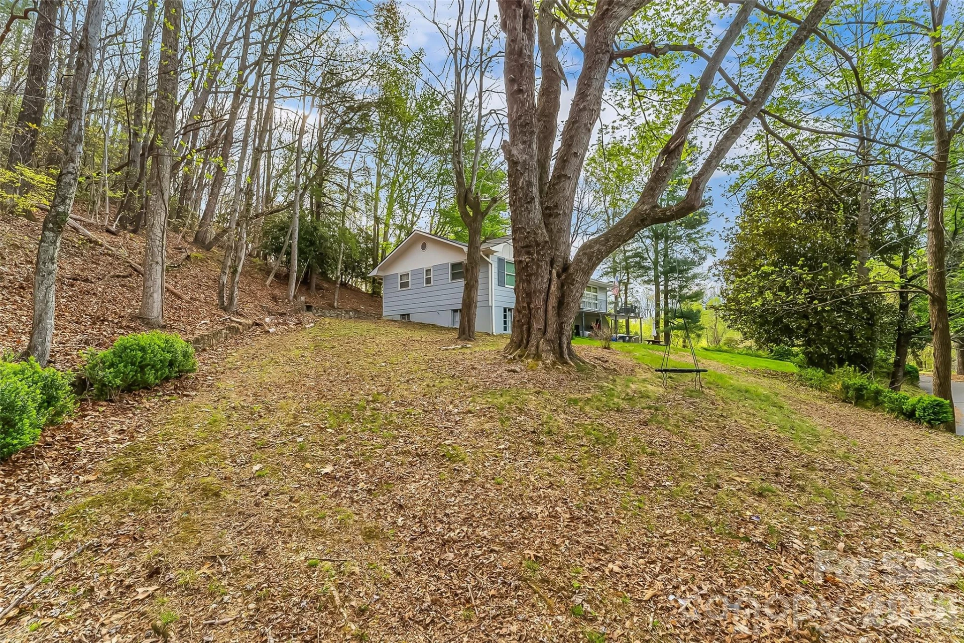 98 Limberlost Drive - Photo 14