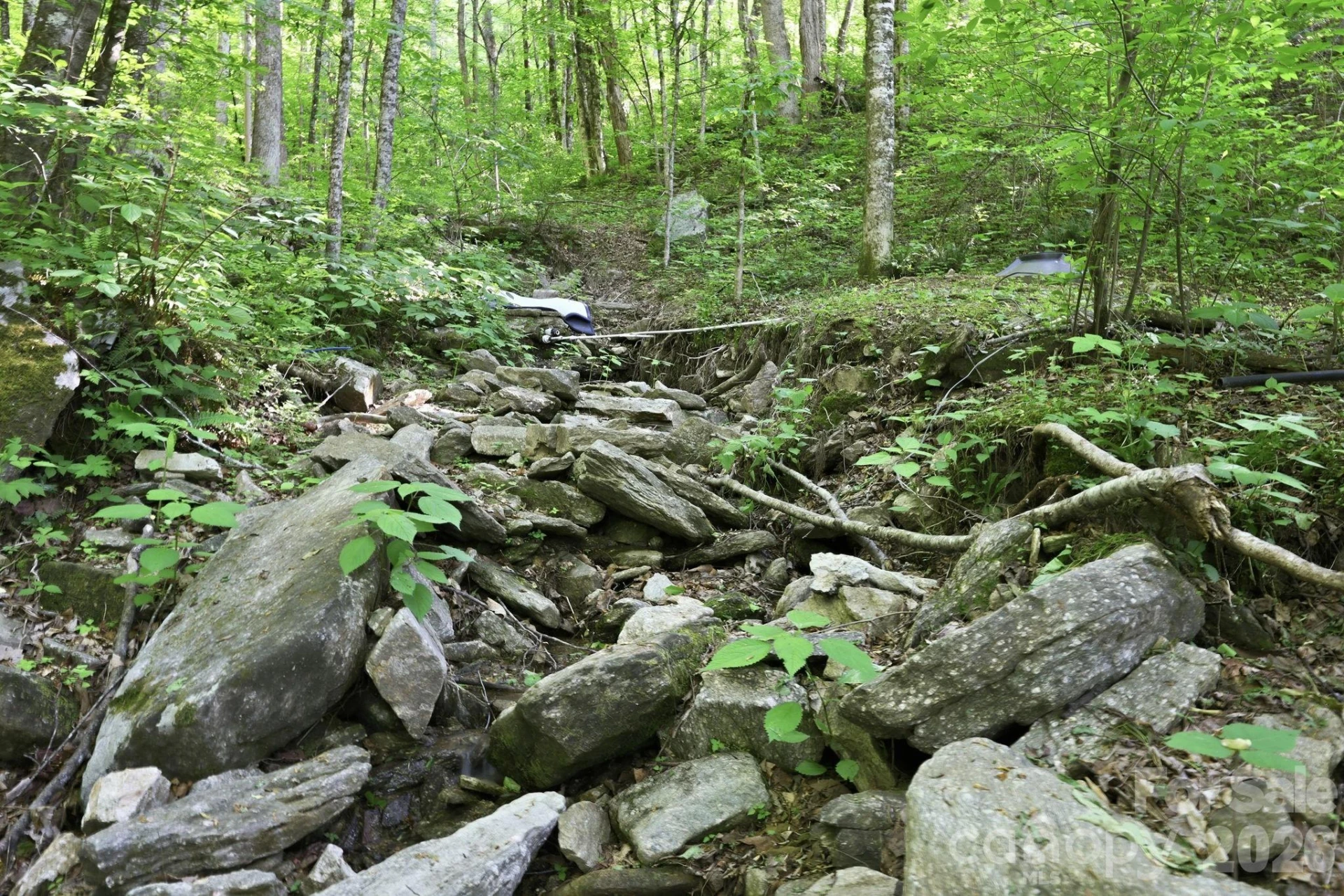 98 Sparkling Springs Road - Photo 40