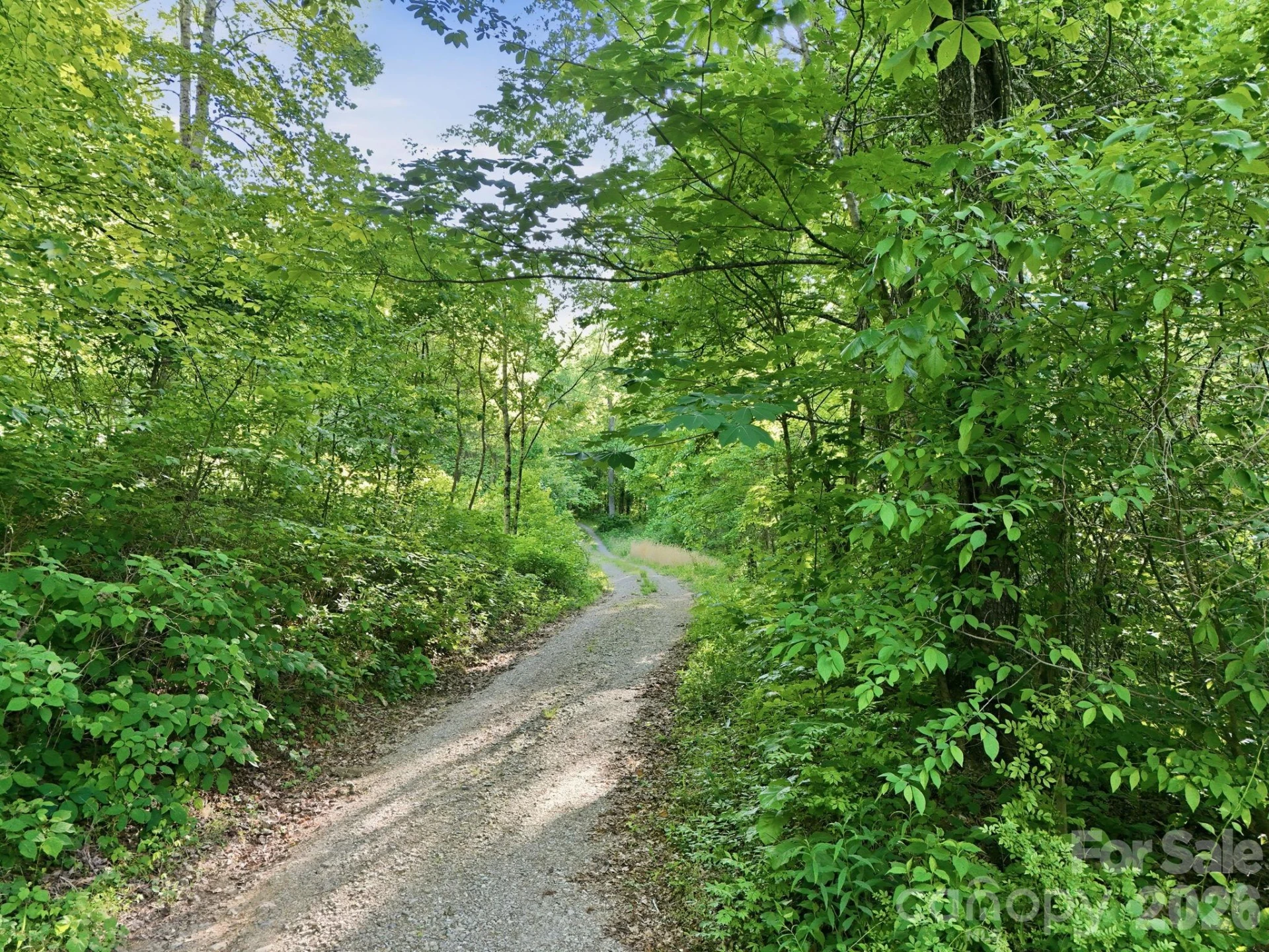 98 Sparkling Springs Road - Photo 44