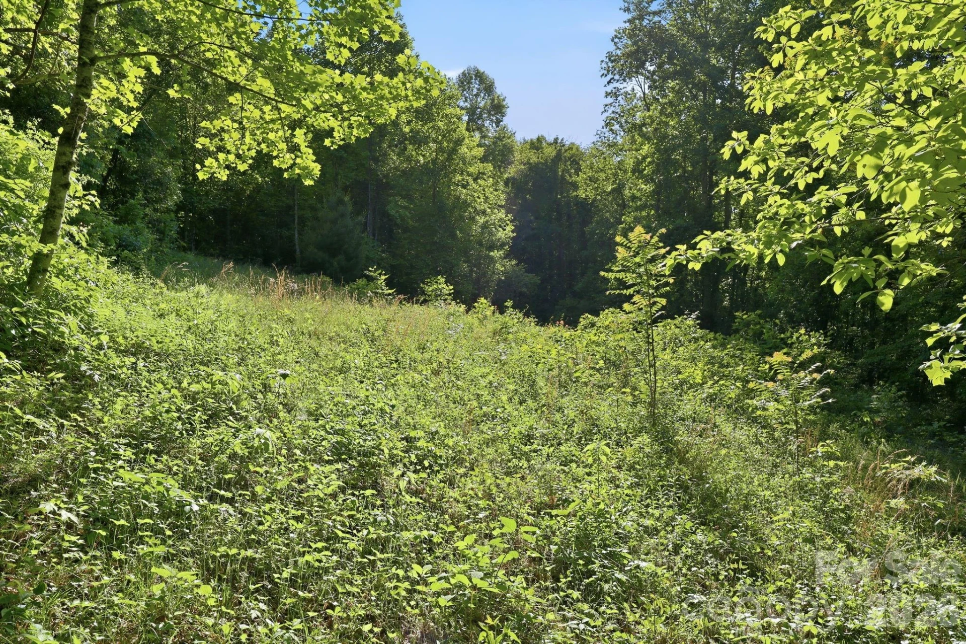 98 Sparkling Springs Road - Photo 46