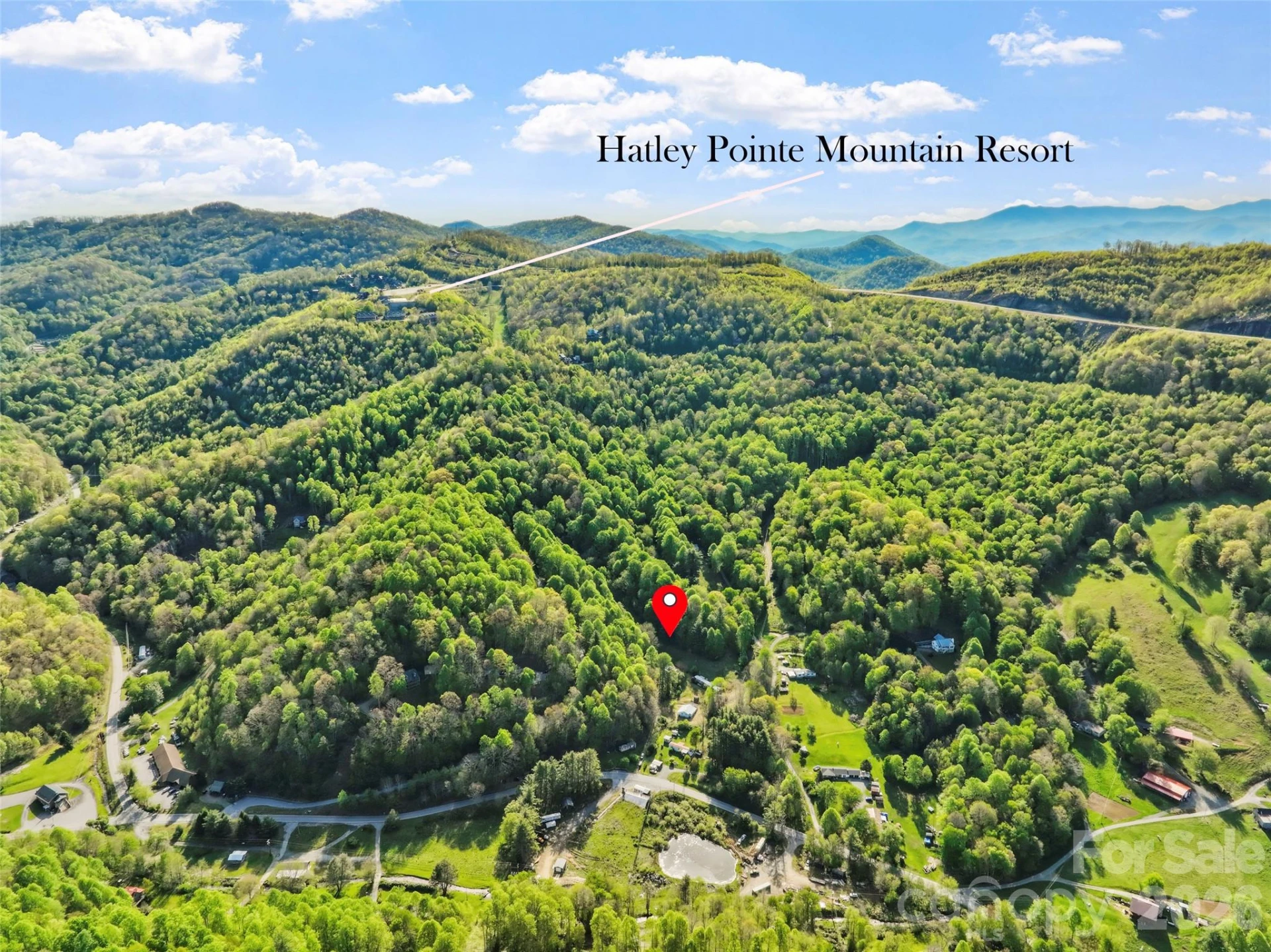 3454 Puncheon Fork Road - Photo 3