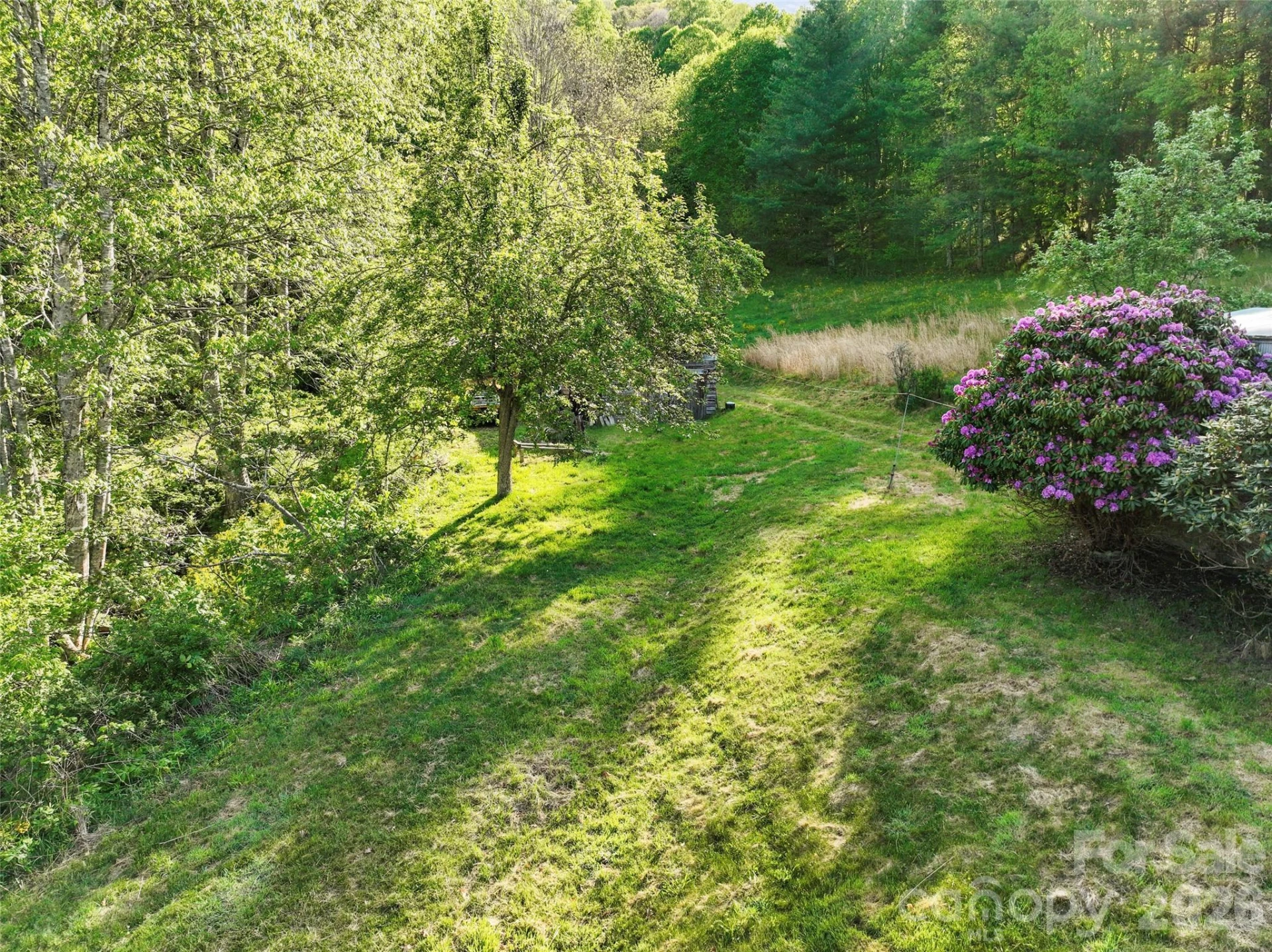 3454 Puncheon Fork Road - Photo 11