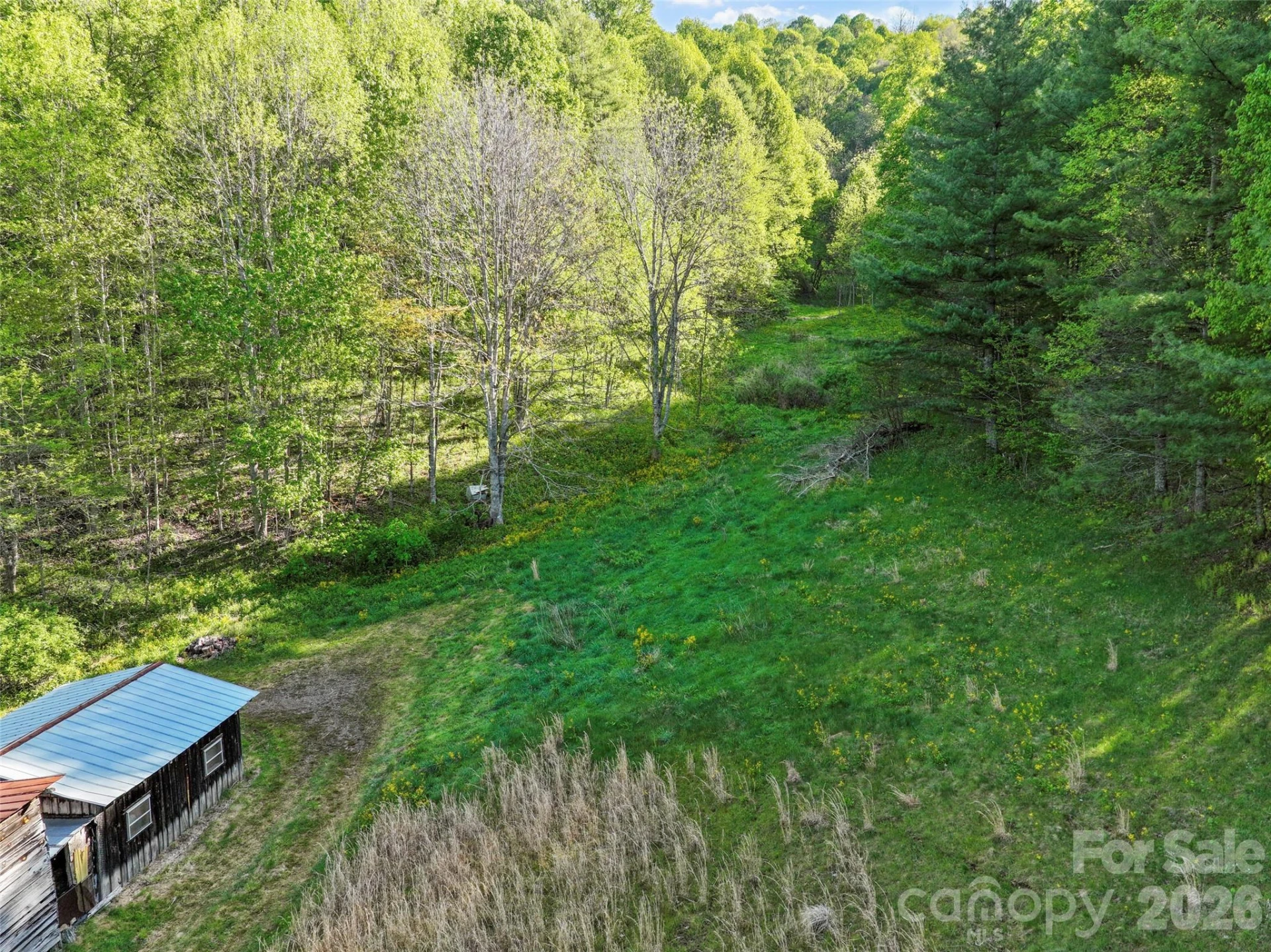 3454 Puncheon Fork Road - Photo 12