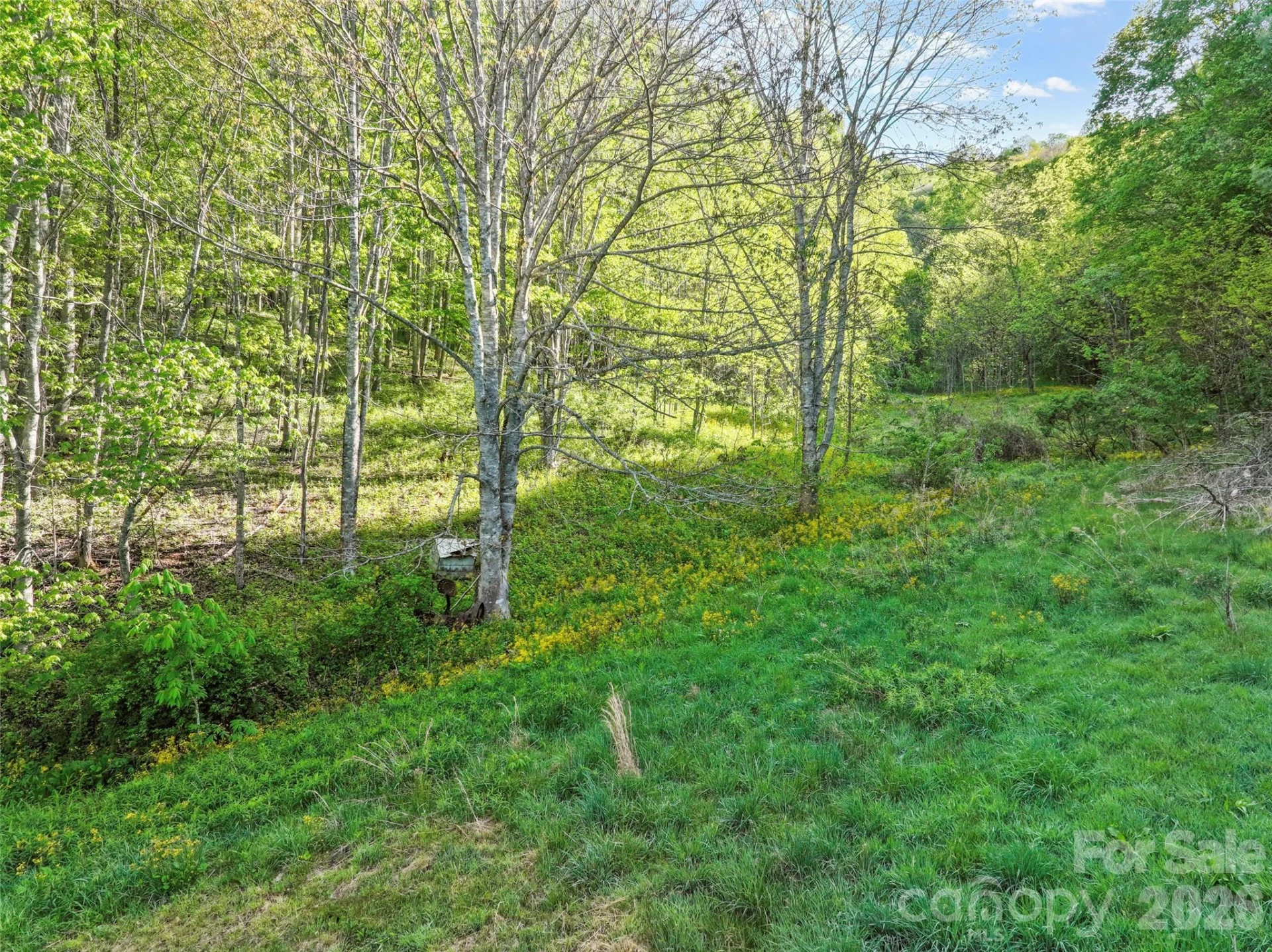 3454 Puncheon Fork Road - Photo 14