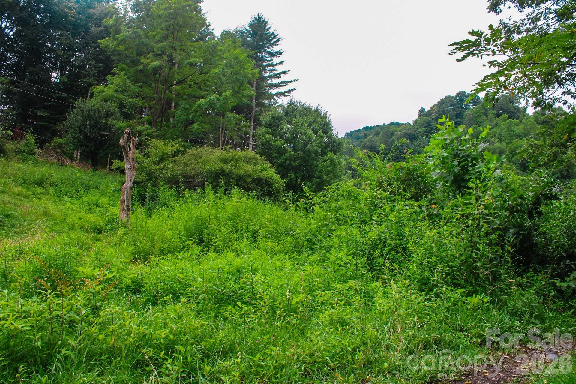 3454 Puncheon Fork Road - Photo 16