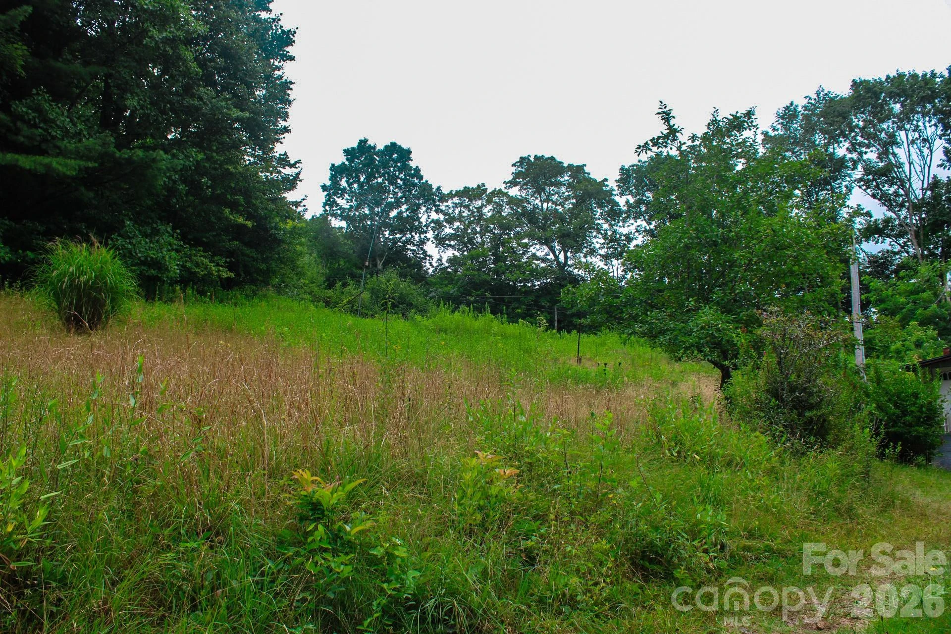 3454 Puncheon Fork Road - Photo 29