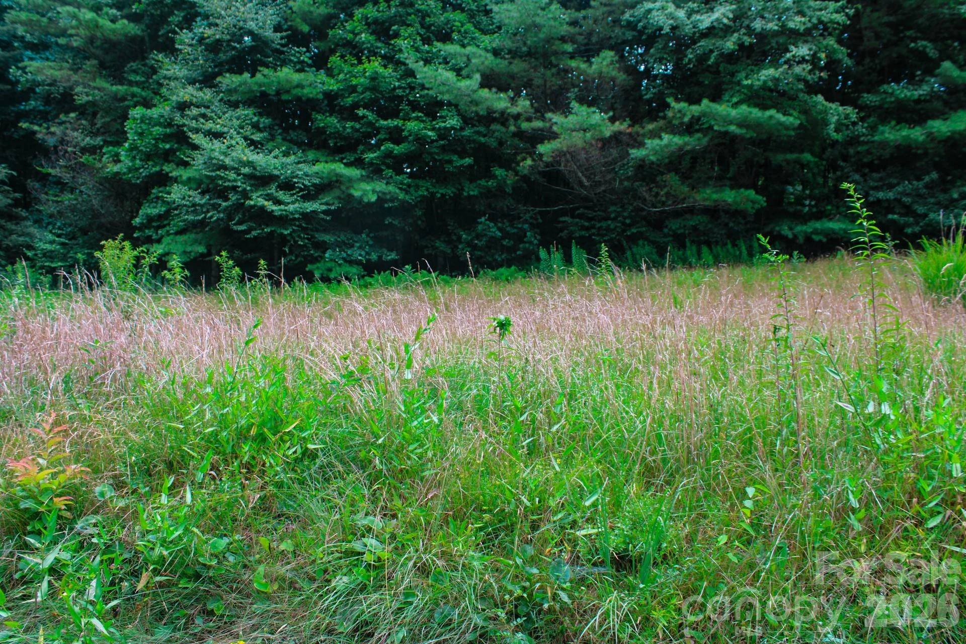 3454 Puncheon Fork Road - Photo 30