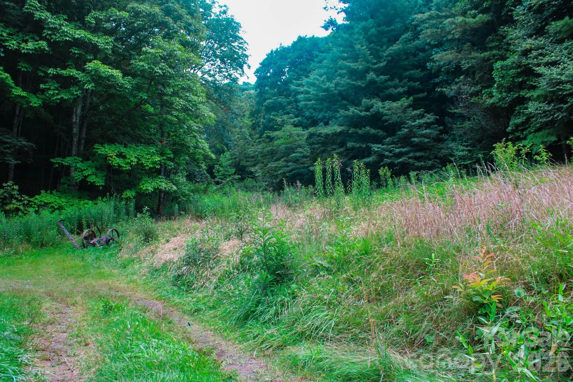 3454 Puncheon Fork Road - Photo 31
