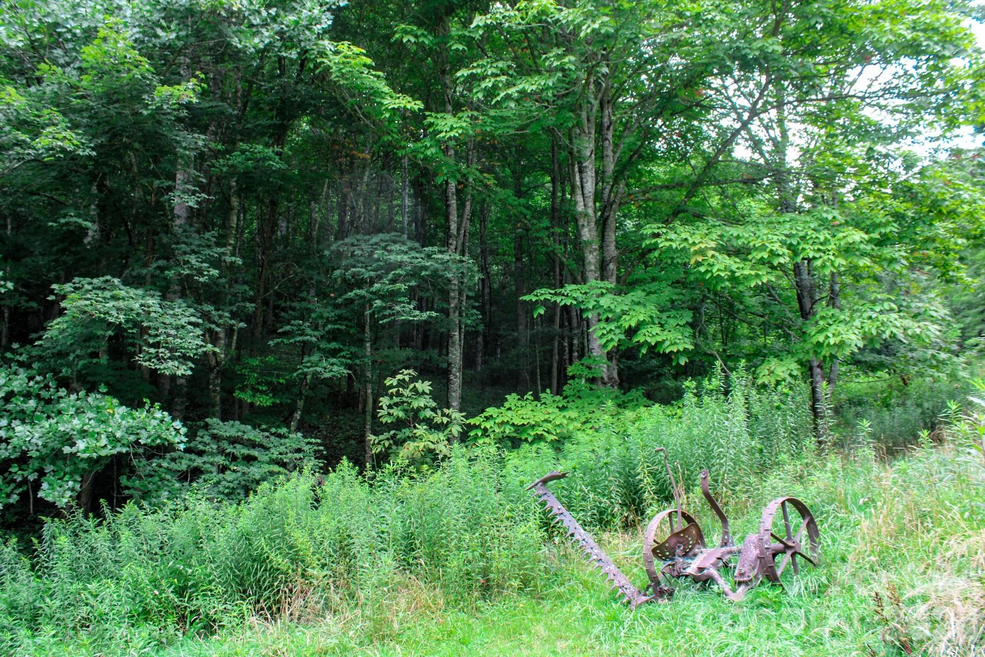 3454 Puncheon Fork Road - Photo 32