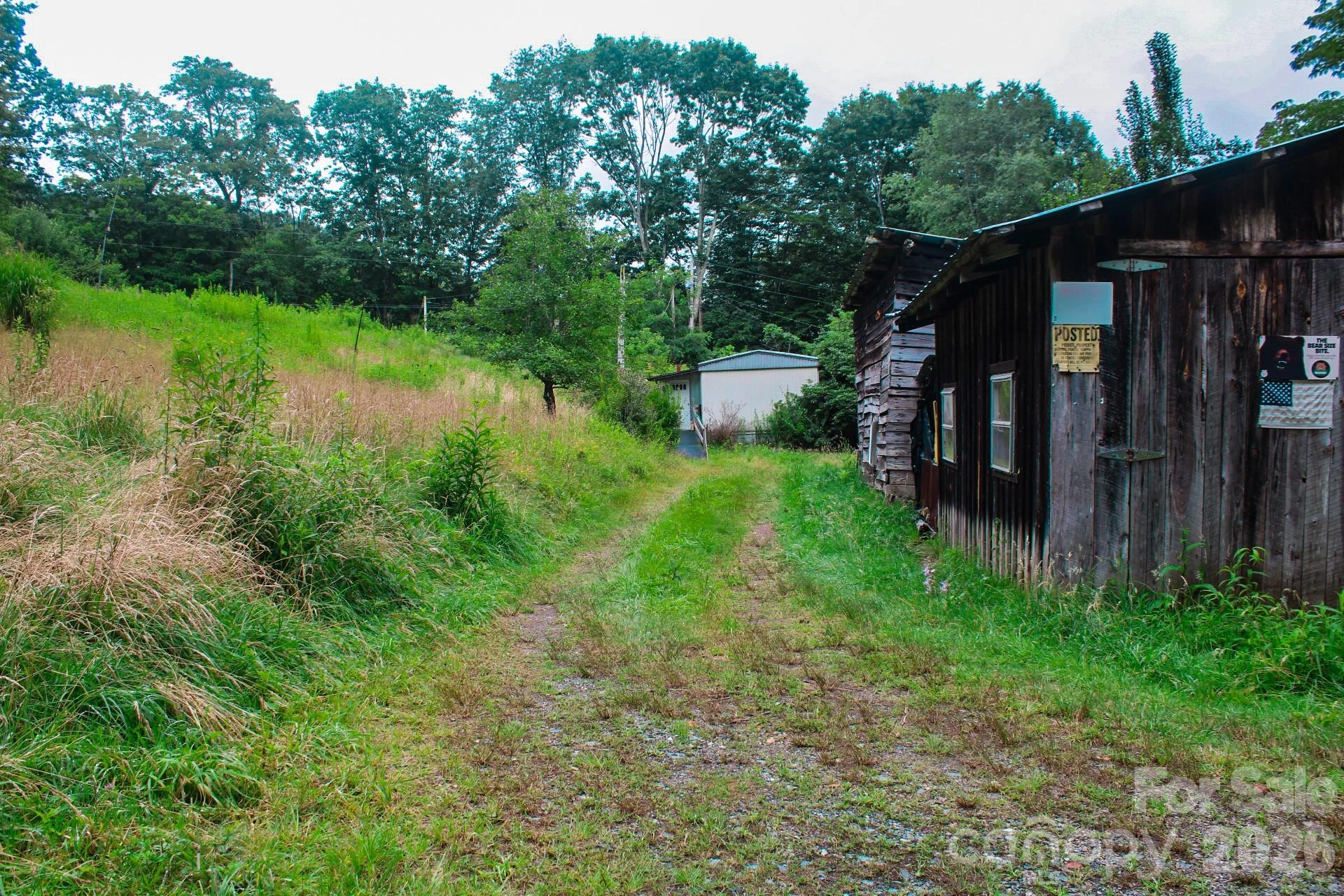 3454 Puncheon Fork Road - Photo 35