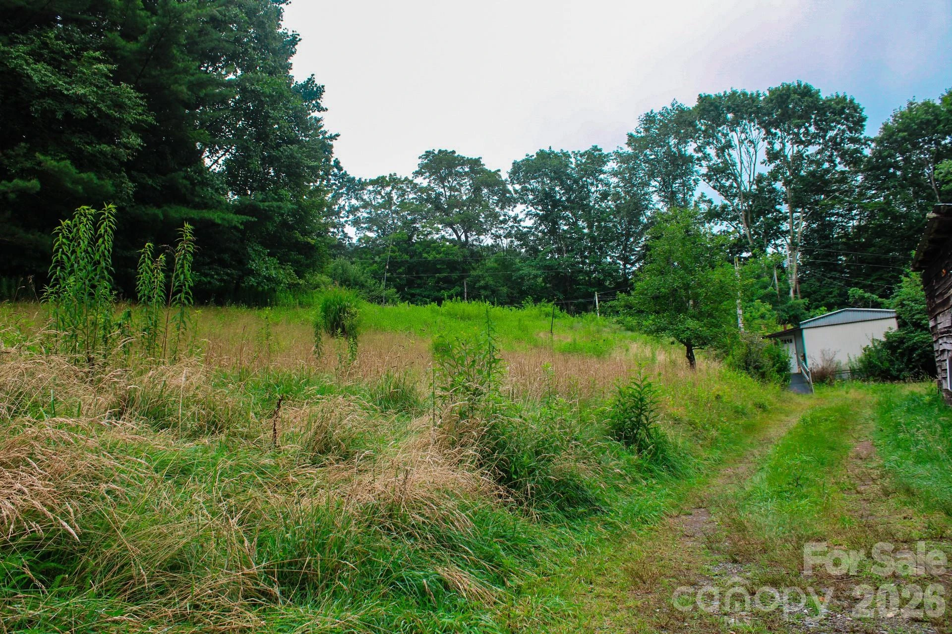 3454 Puncheon Fork Road - Photo 36