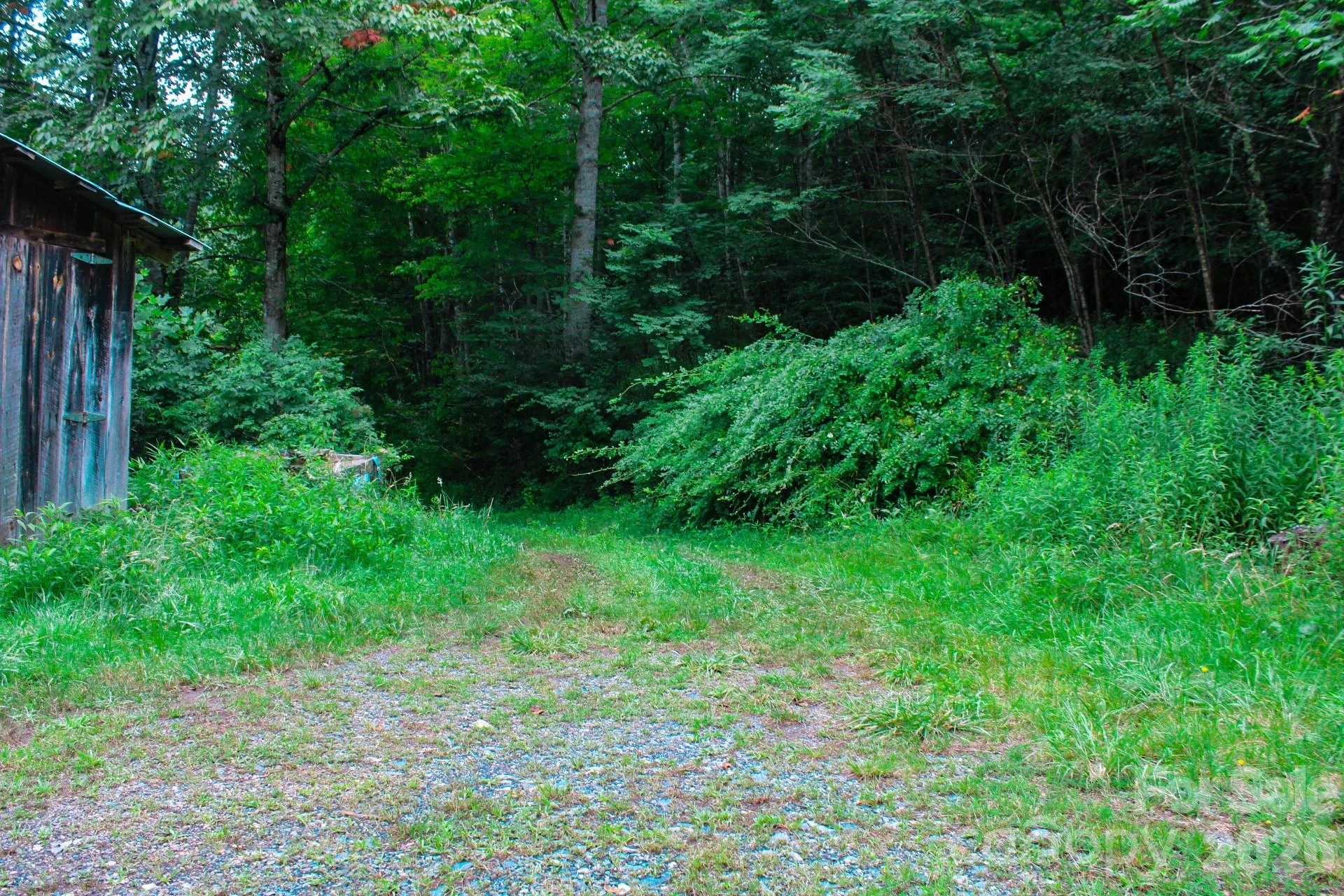 3454 Puncheon Fork Road - Photo 37