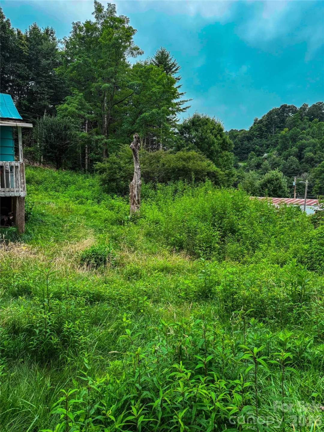 3454 Puncheon Fork Road - Photo 39