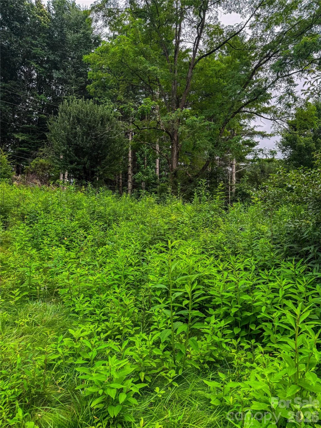 3454 Puncheon Fork Road - Photo 40