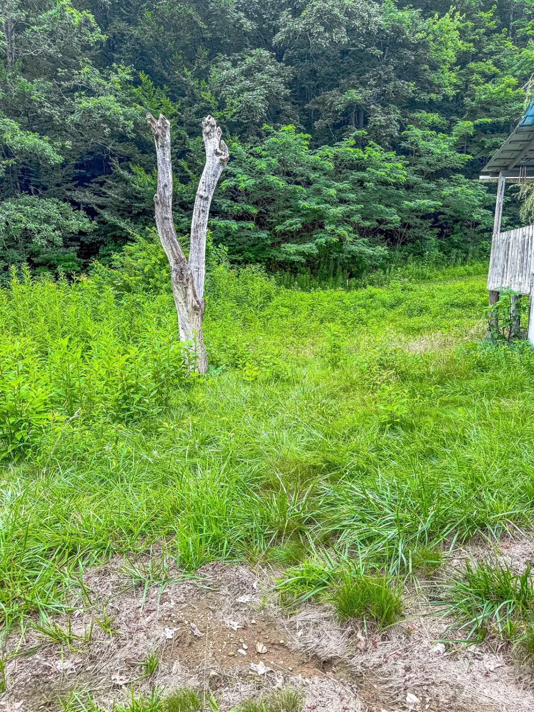 3454 Puncheon Fork Road - Photo 42