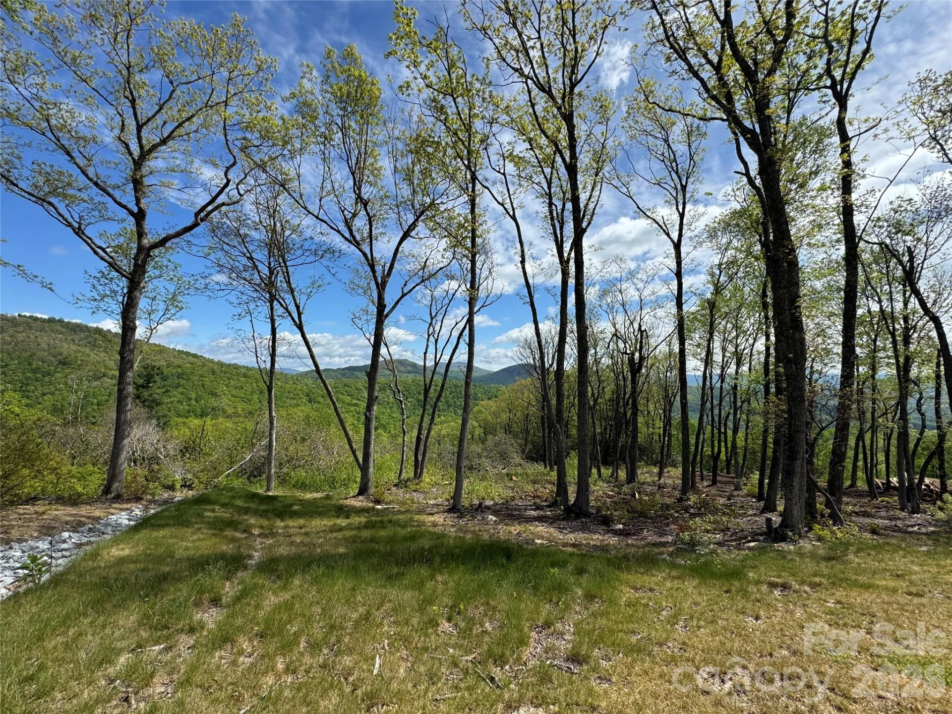 TBD E Garden Trail #45 - Photo 6