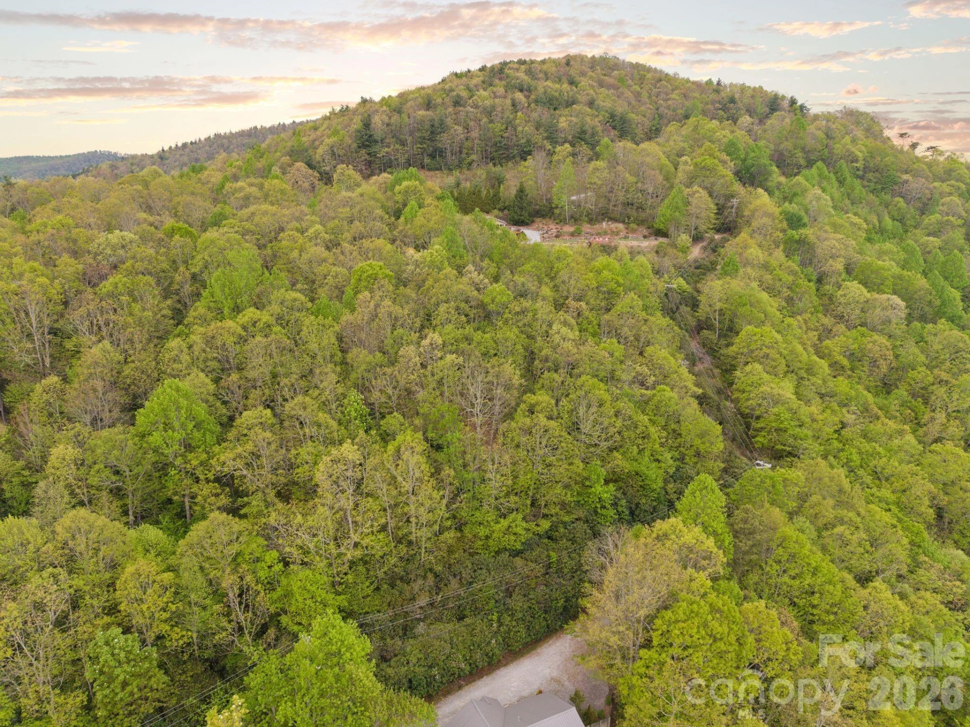 TBD Pinnacle Mountain Road - Photo 4