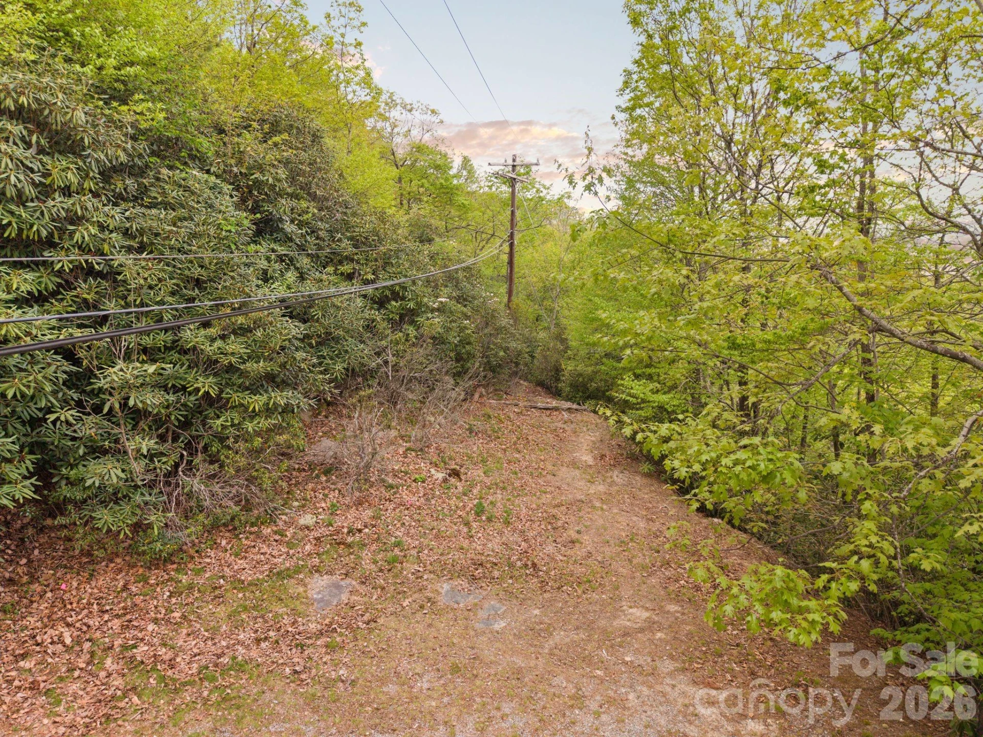 TBD Pinnacle Mountain Road - Photo 7