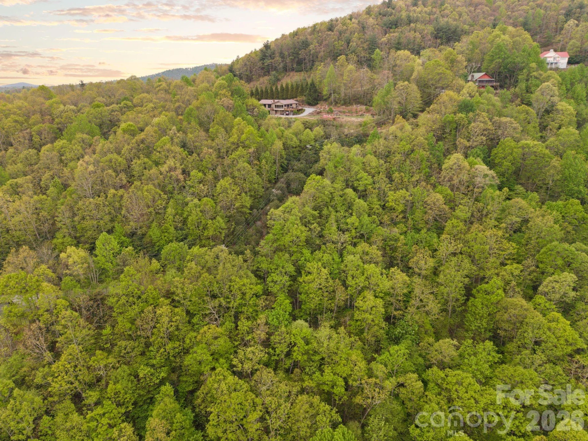 TBD Pinnacle Mountain Road - Photo 10