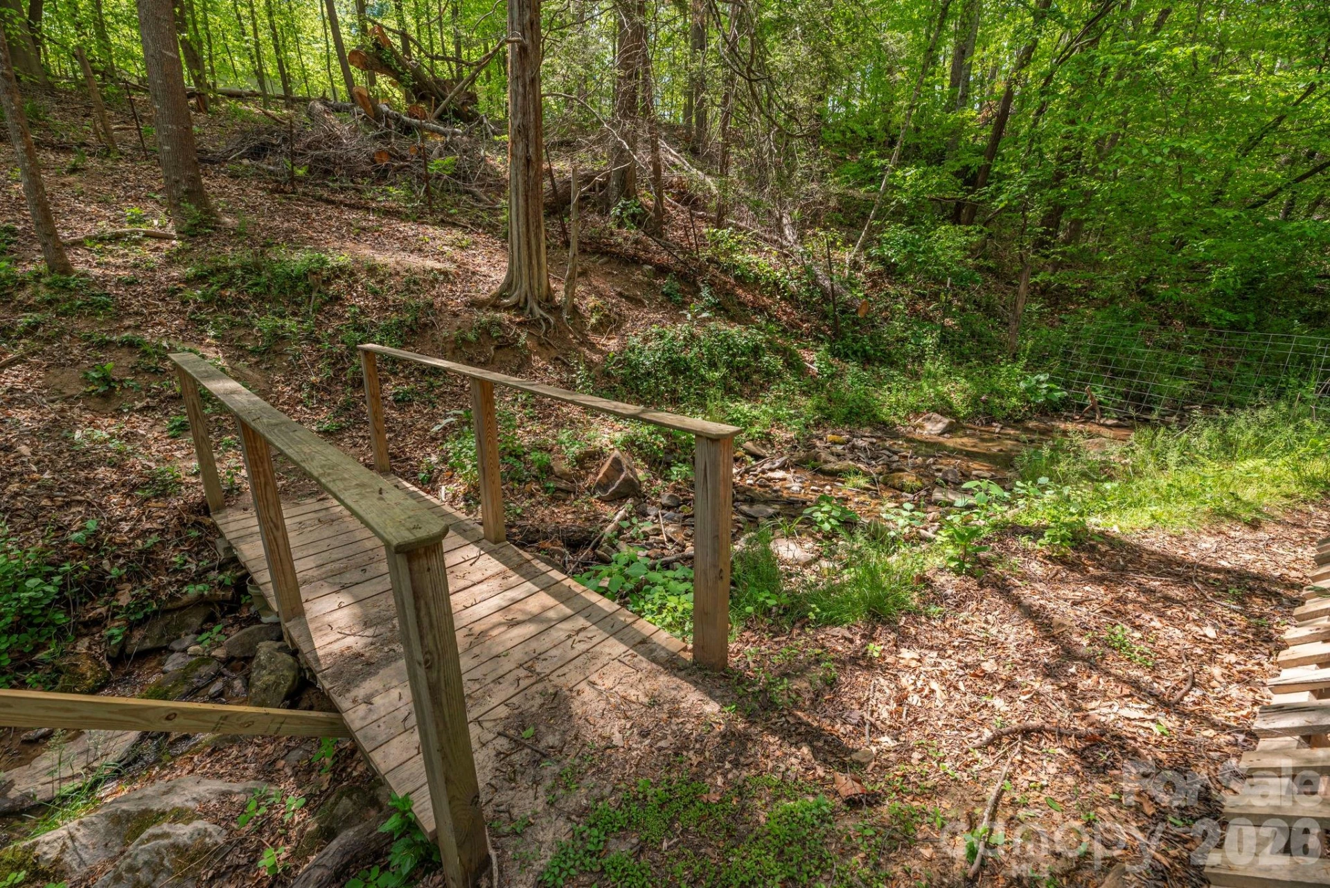 155 Old Starnes Cove Road - Photo 31