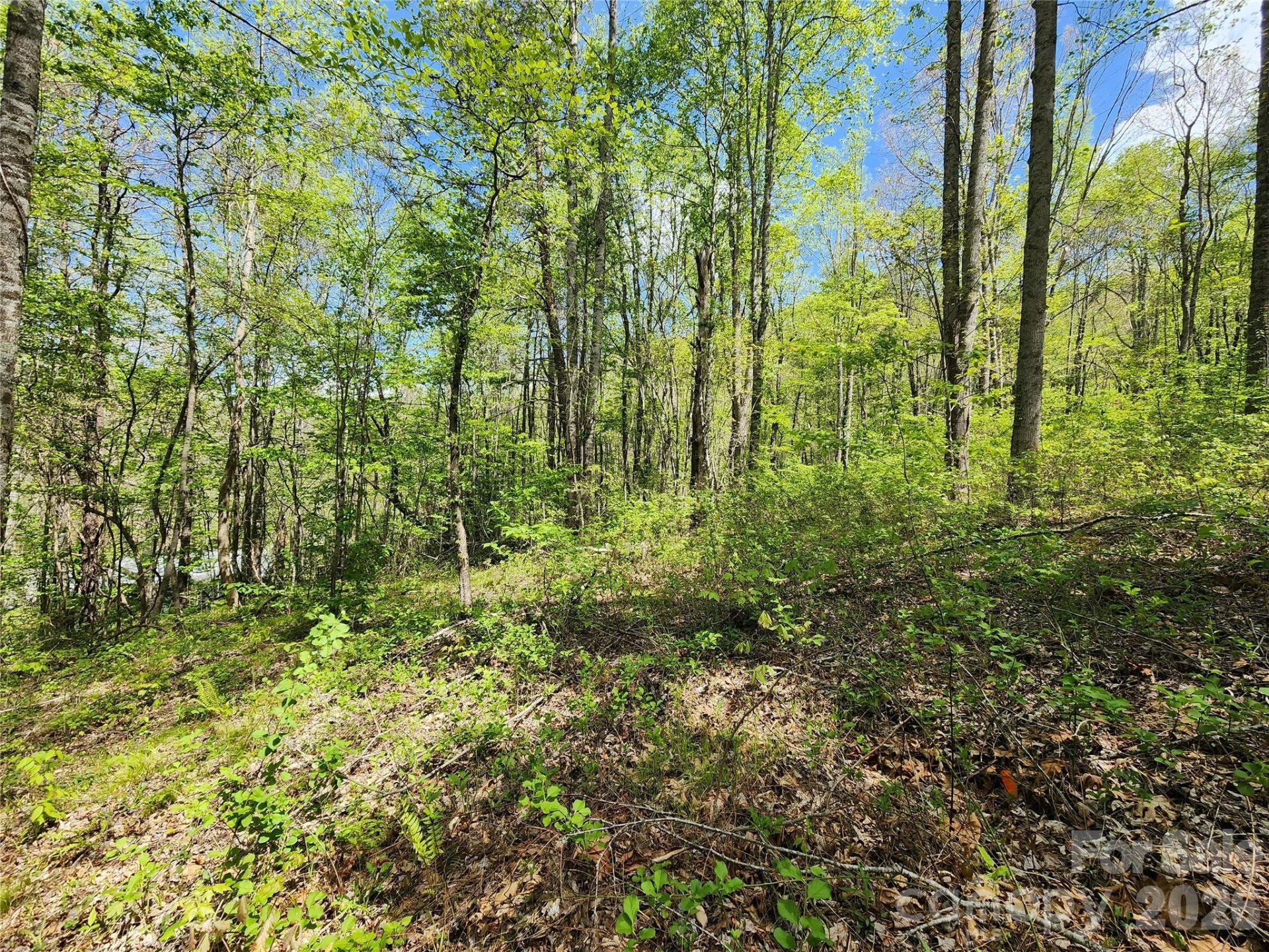165 Wagon Wheel Way #2 - Photo 12