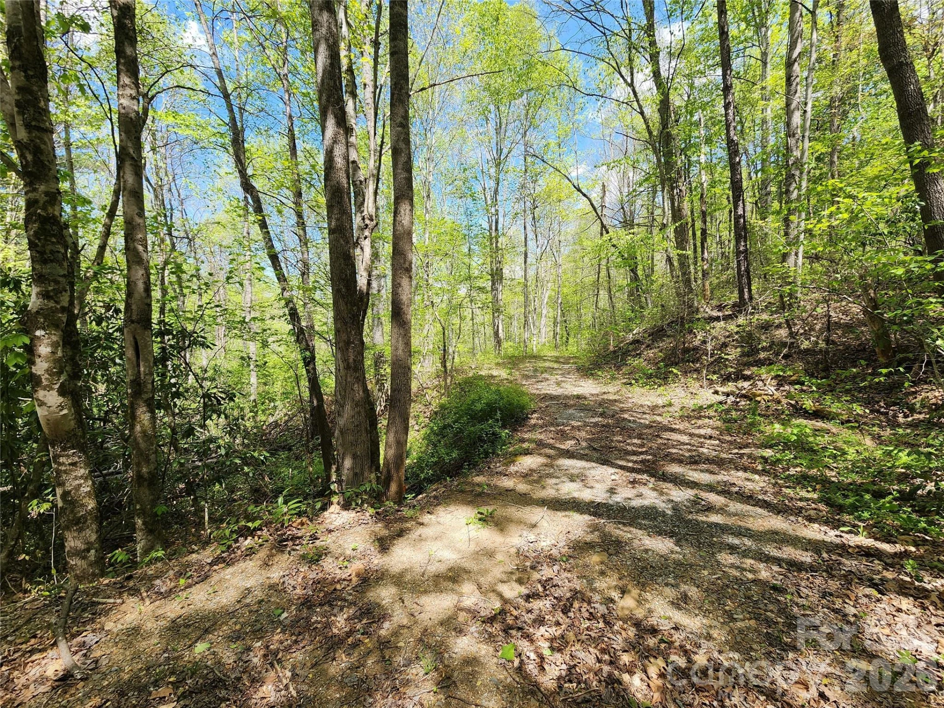 165 Wagon Wheel Way #2 - Photo 3