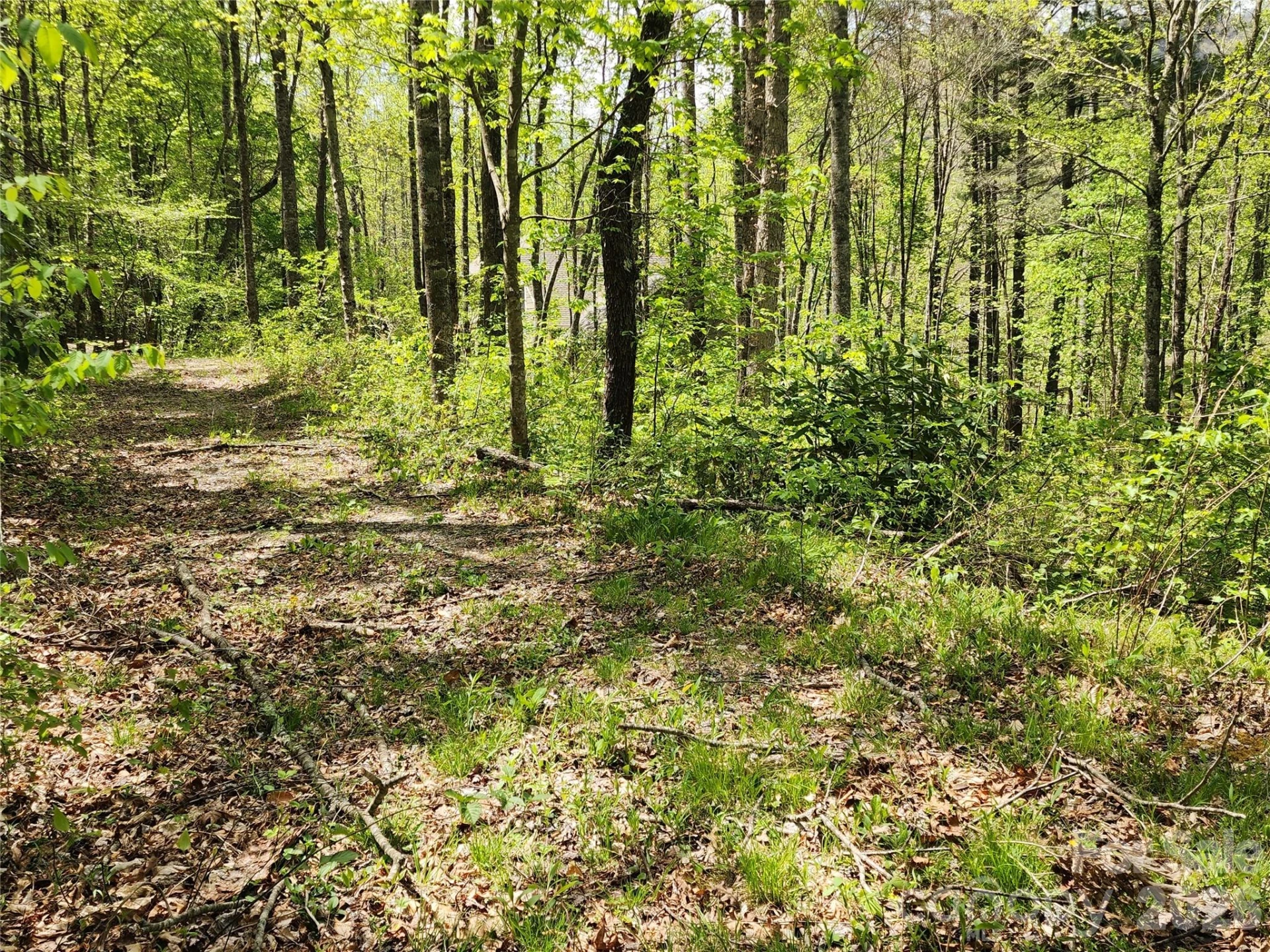 165 Wagon Wheel Way #2 - Photo 4