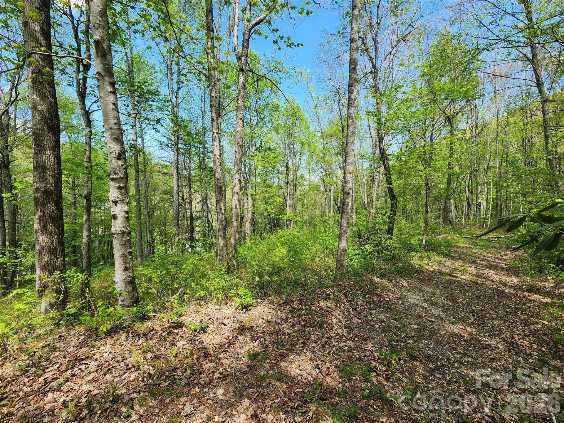 165 Wagon Wheel Way #2 - Photo 7