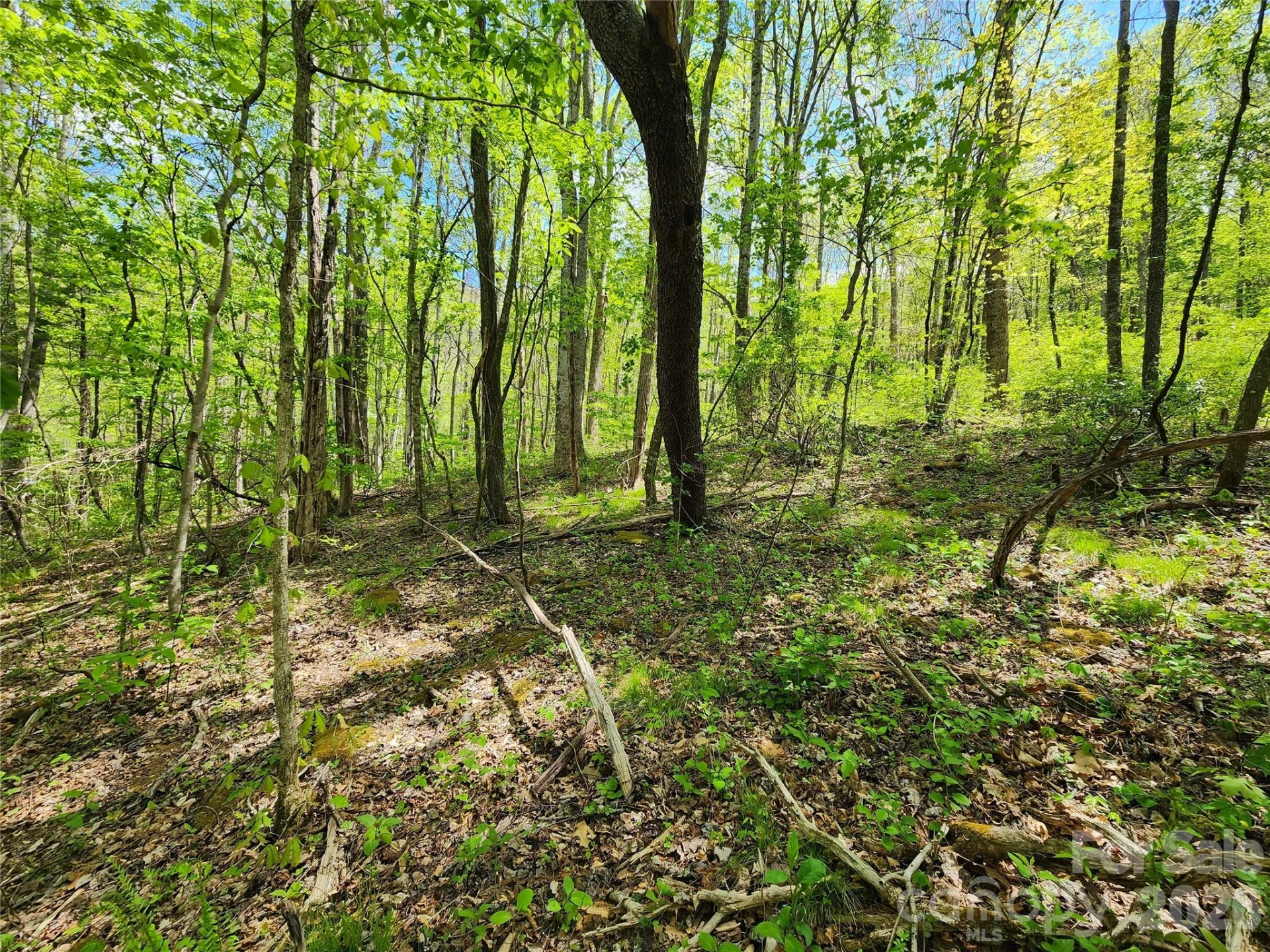 165 Wagon Wheel Way #2 - Photo 8