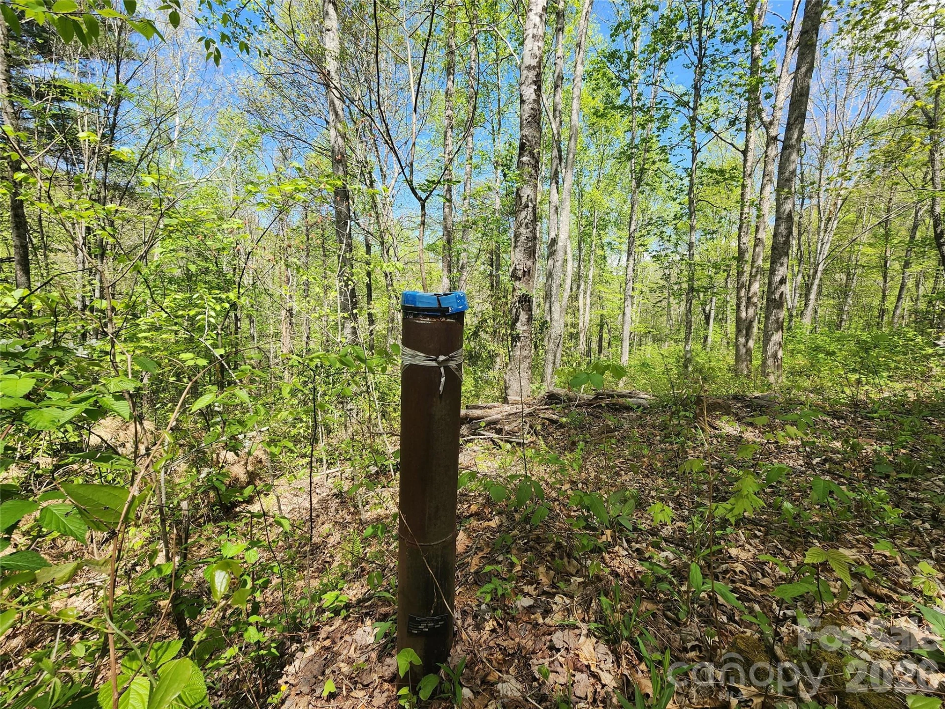 165 Wagon Wheel Way #2 - Photo 10