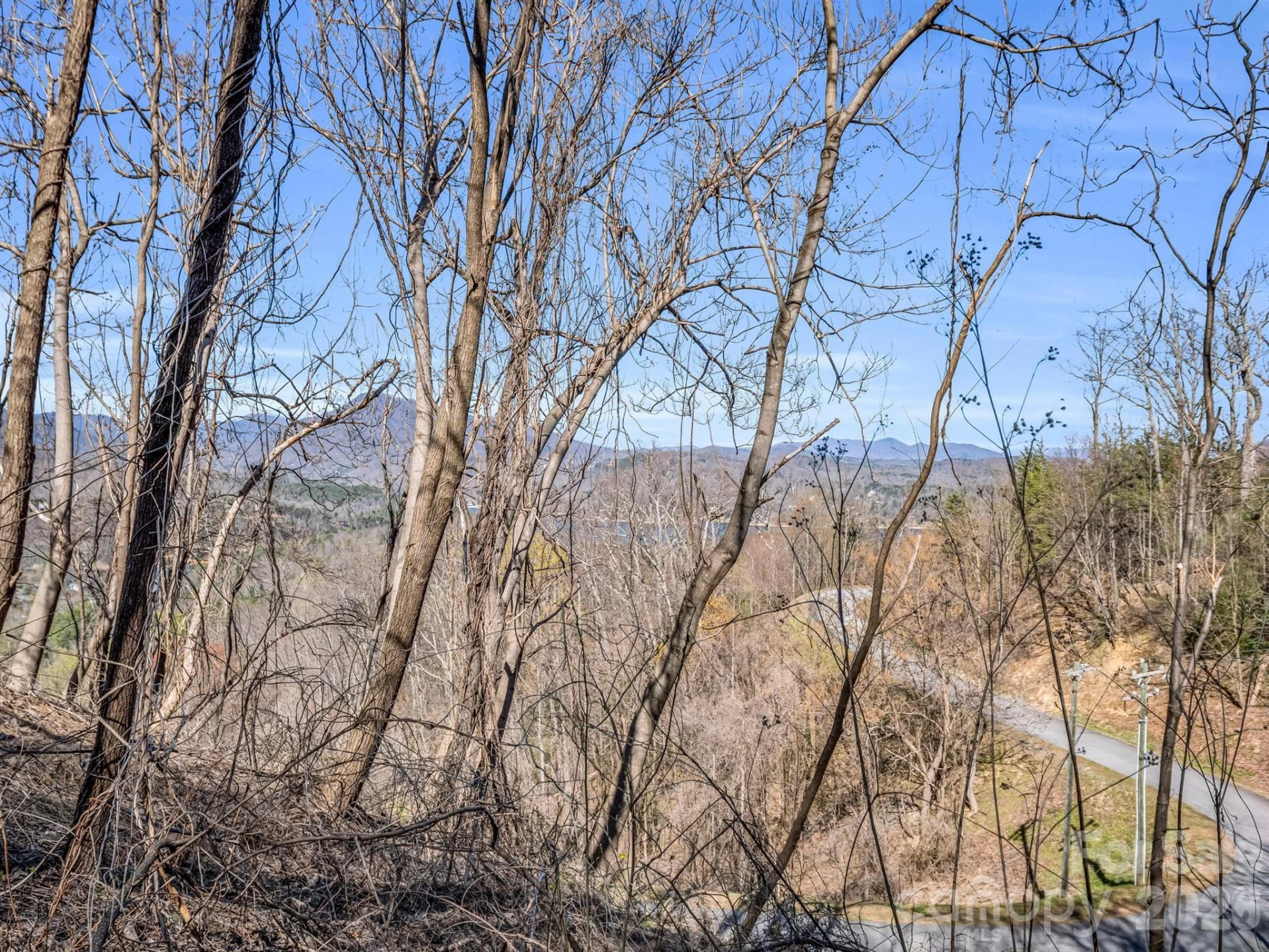 0 Clear Creek Trail #30 - Photo 19