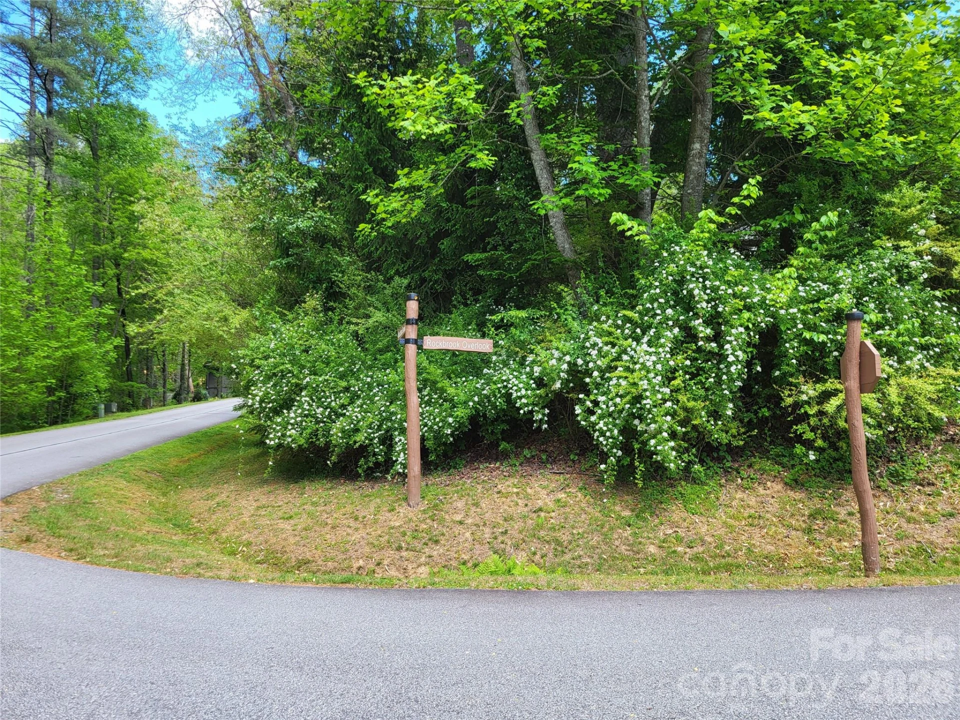20 Rockbrook Overlook #L20 - Photo 2