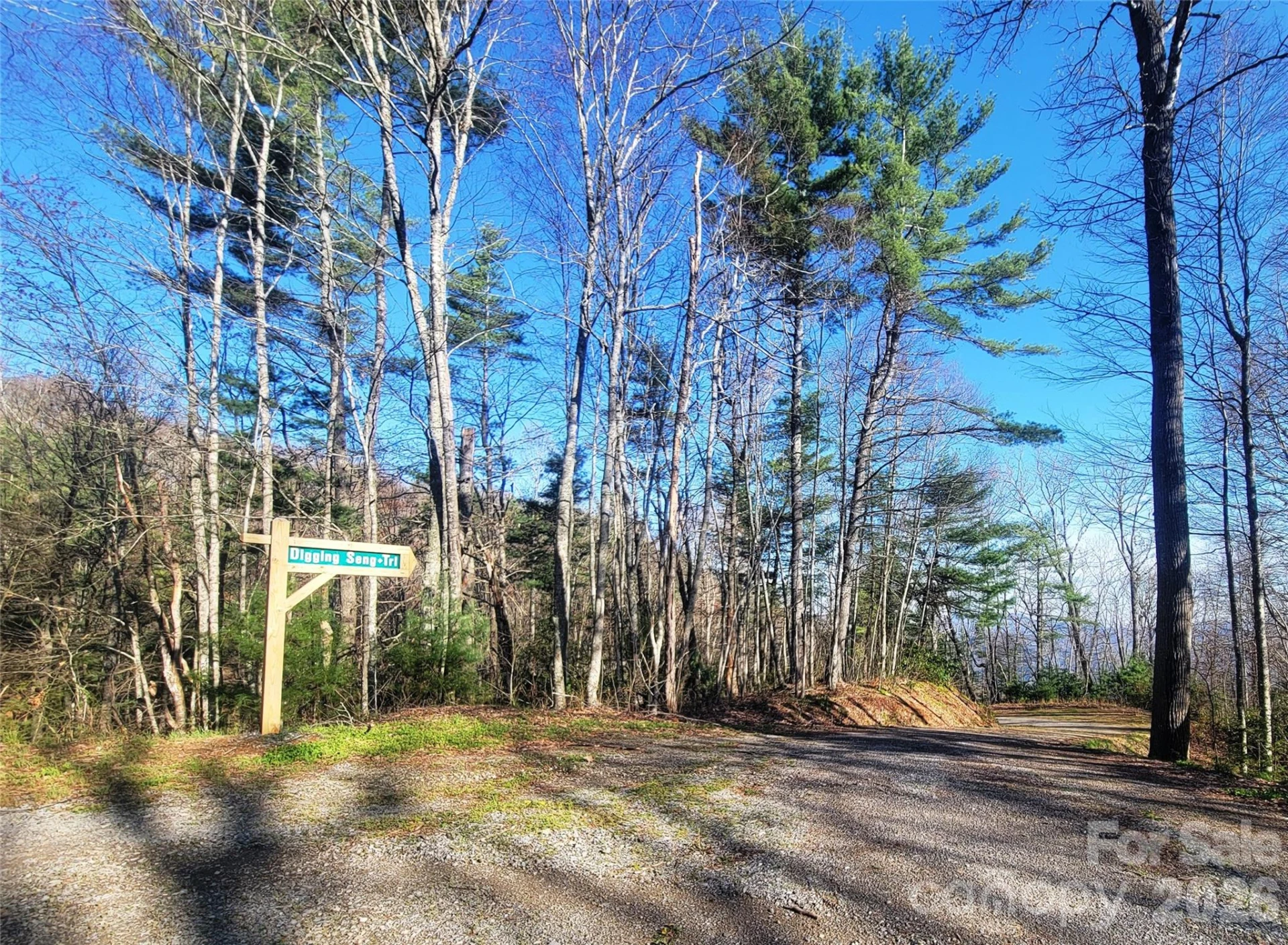 111 Digging Seng Trail #138 - Photo 5