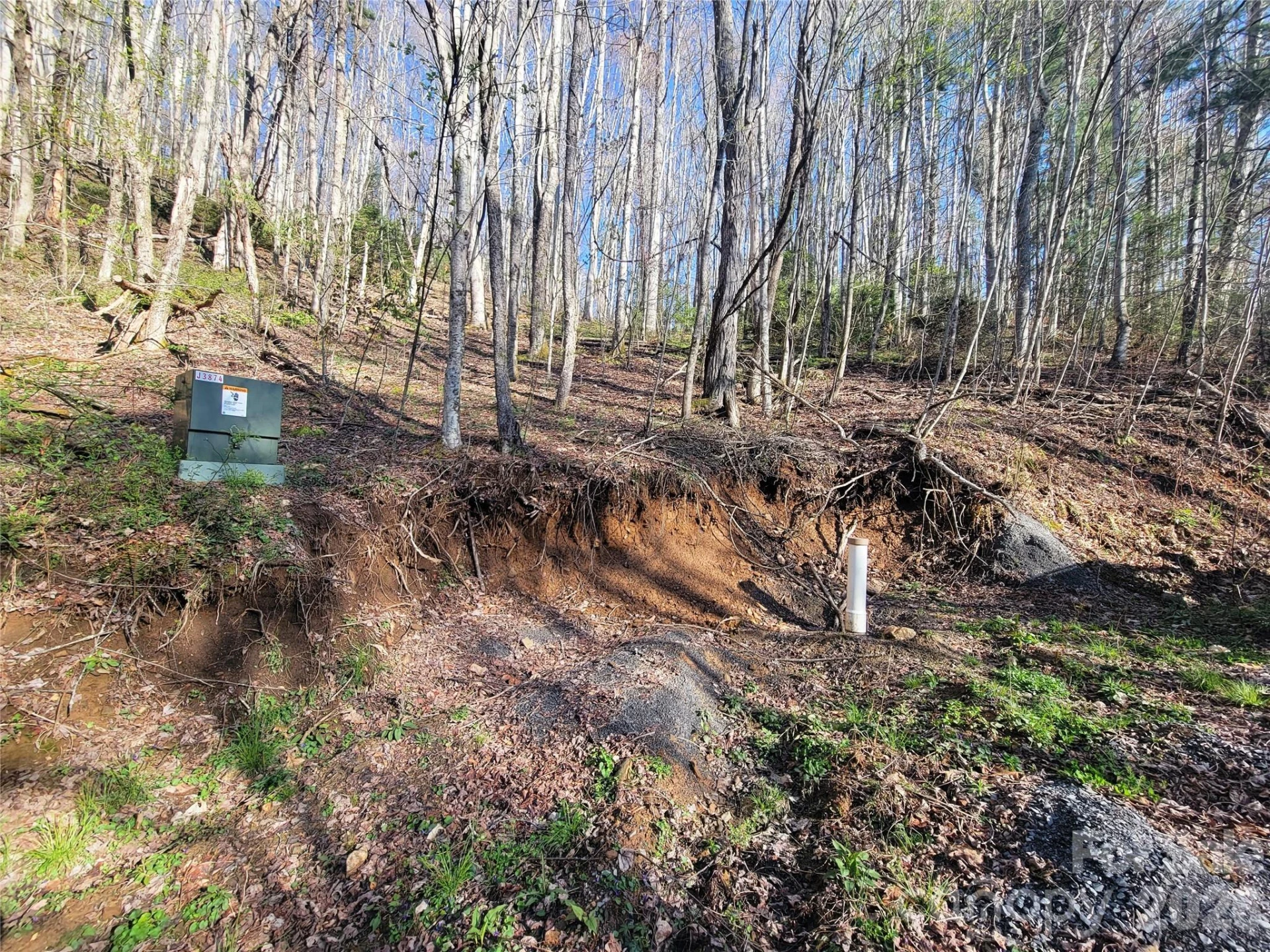 111 Digging Seng Trail #138 - Photo 7