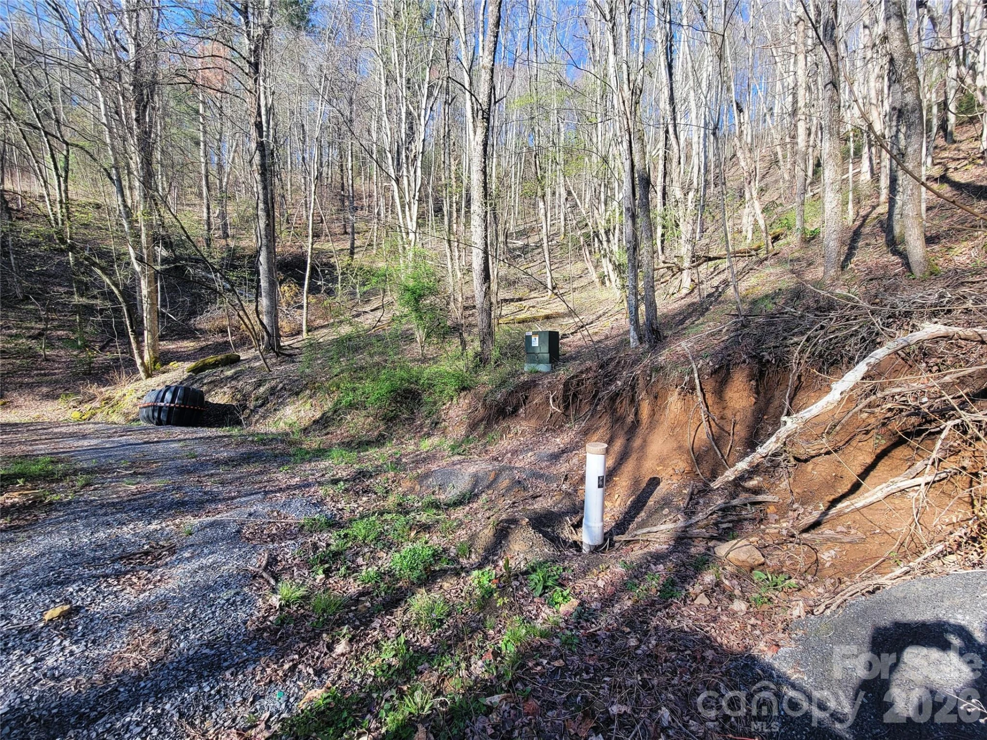 111 Digging Seng Trail #138 - Photo 12