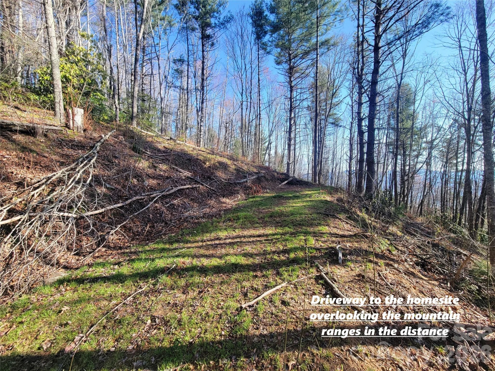 111 Digging Seng Trail #138 - Photo 4