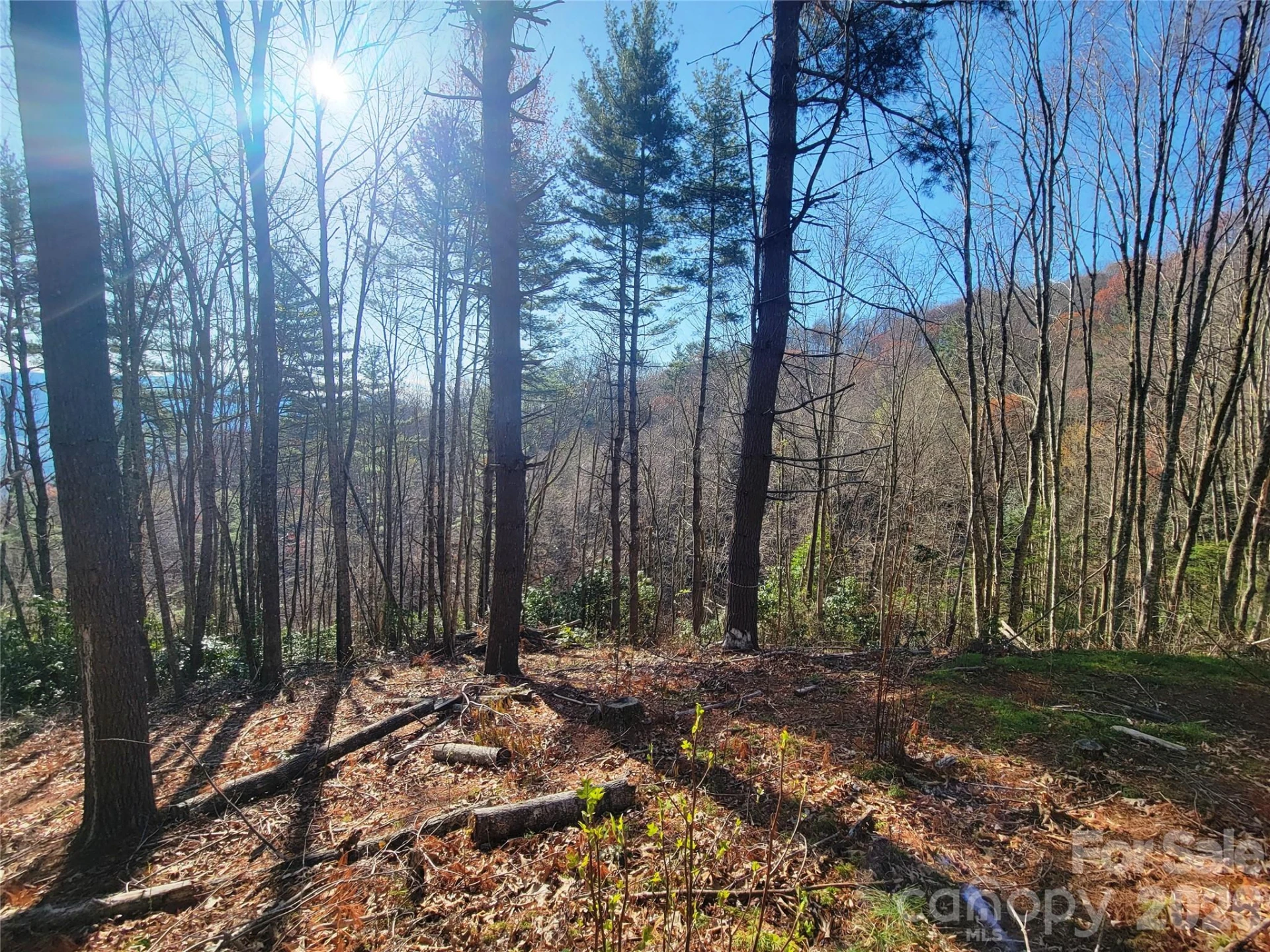 111 Digging Seng Trail #138 - Photo 13