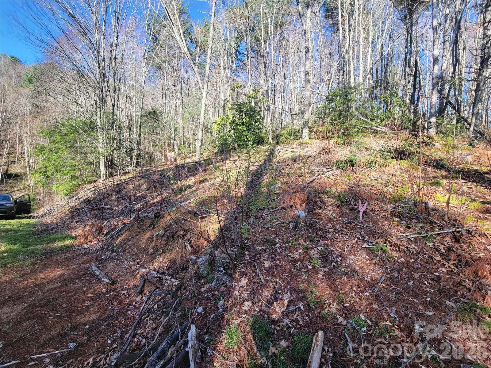 111 Digging Seng Trail #138 - Photo 14