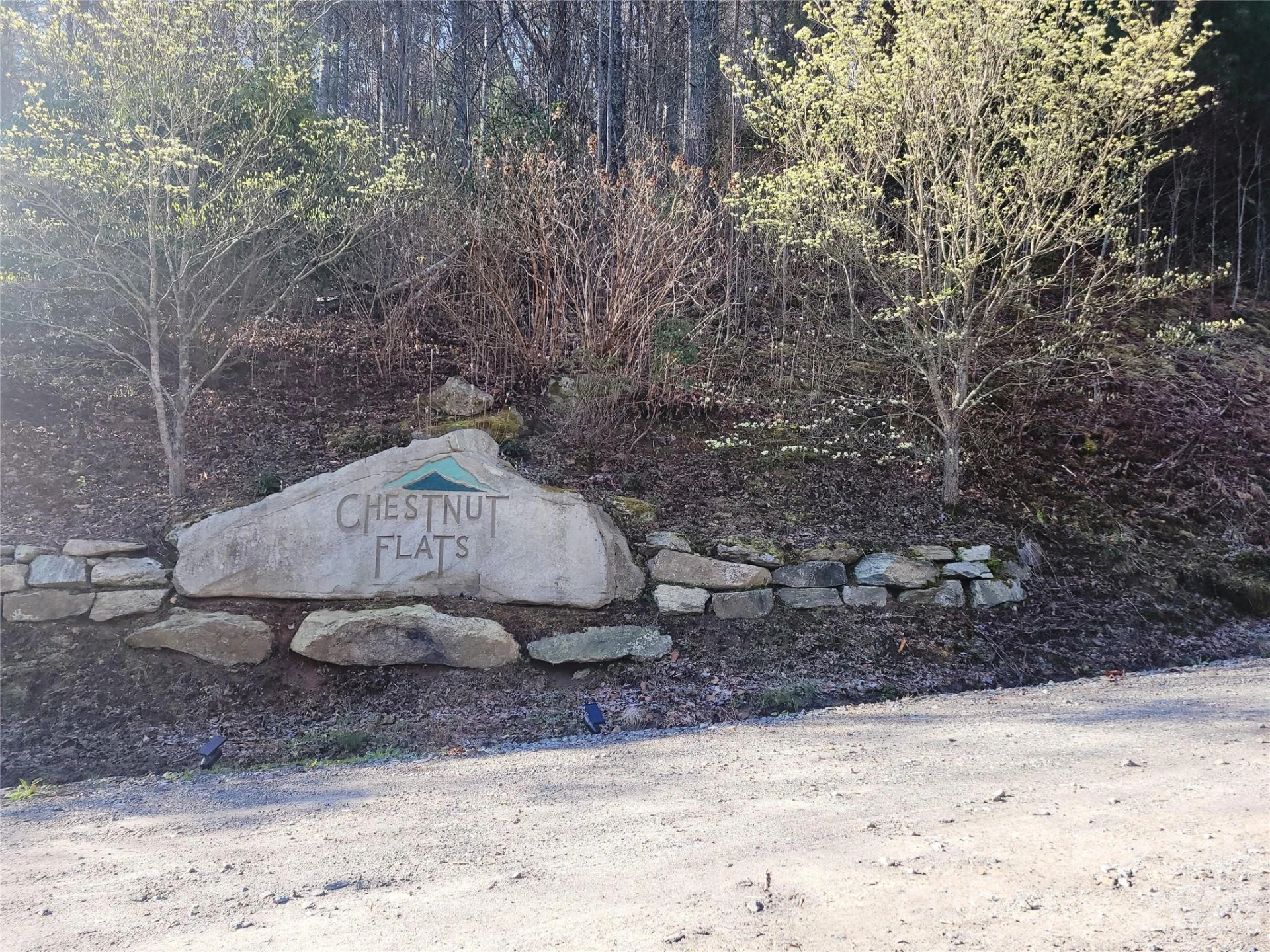 111 Digging Seng Trail #138 - Photo 17